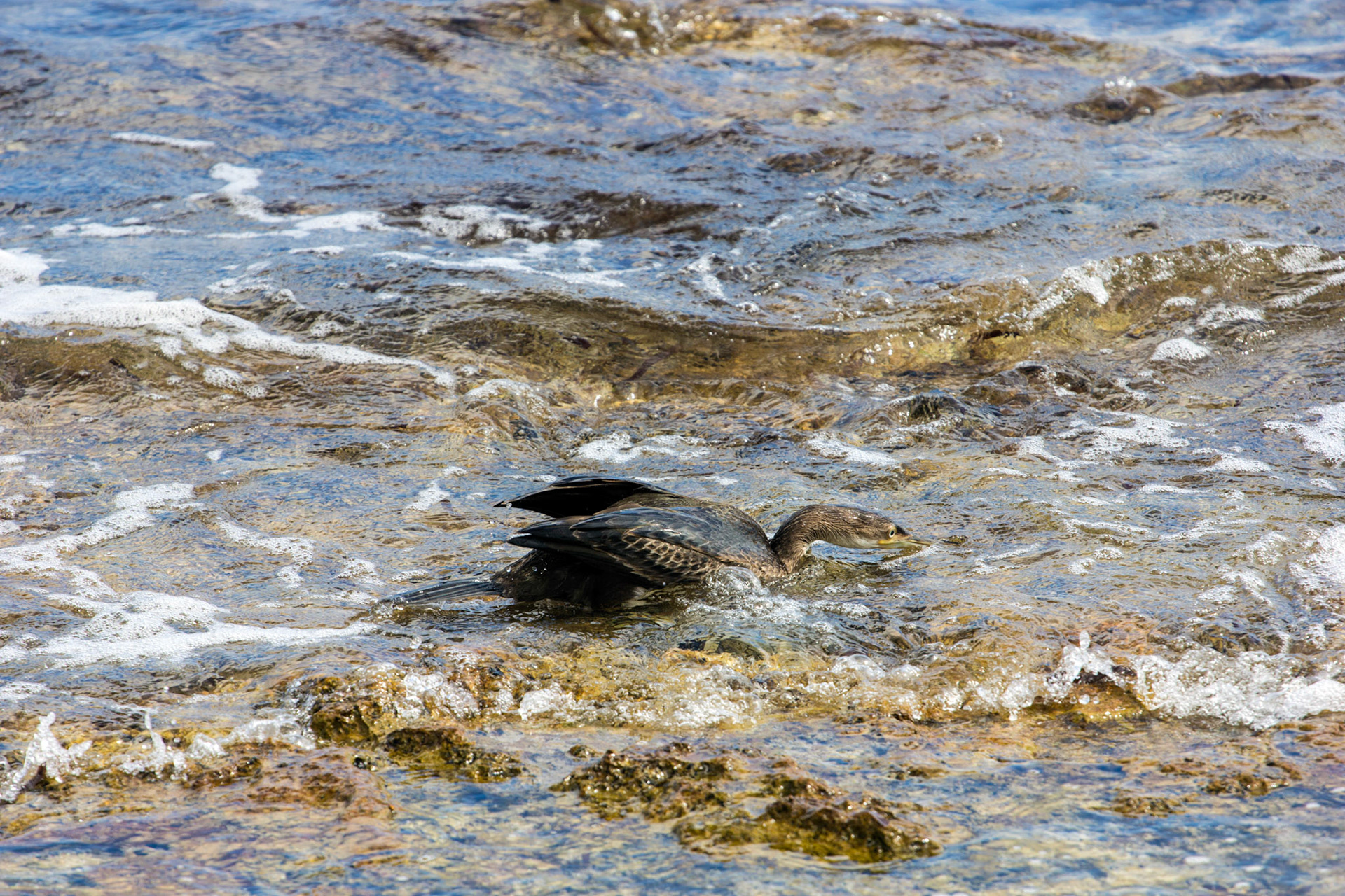 AlcudiaPlease see my other Photographs at: www.jamespdeans.co.uk
