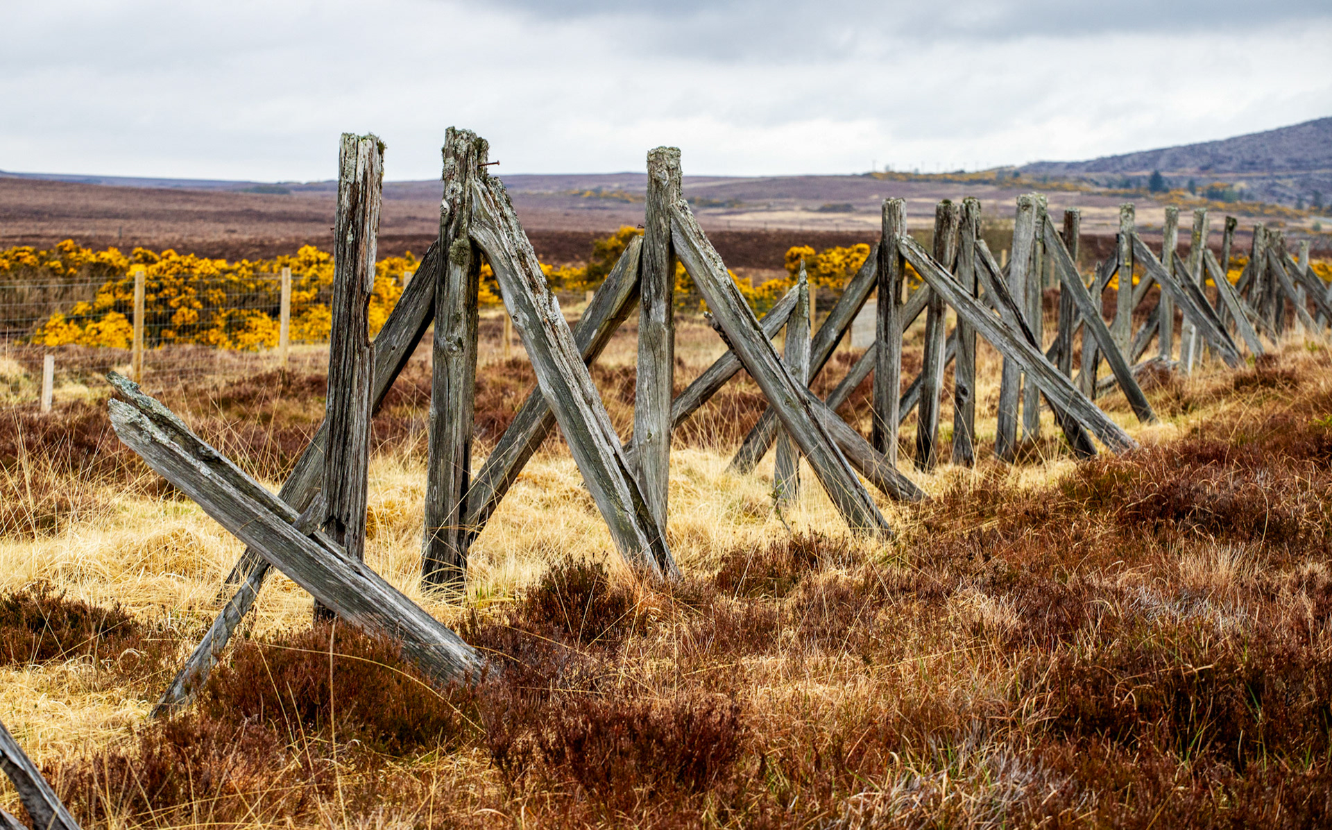 Strath Ullie 05 May 2024