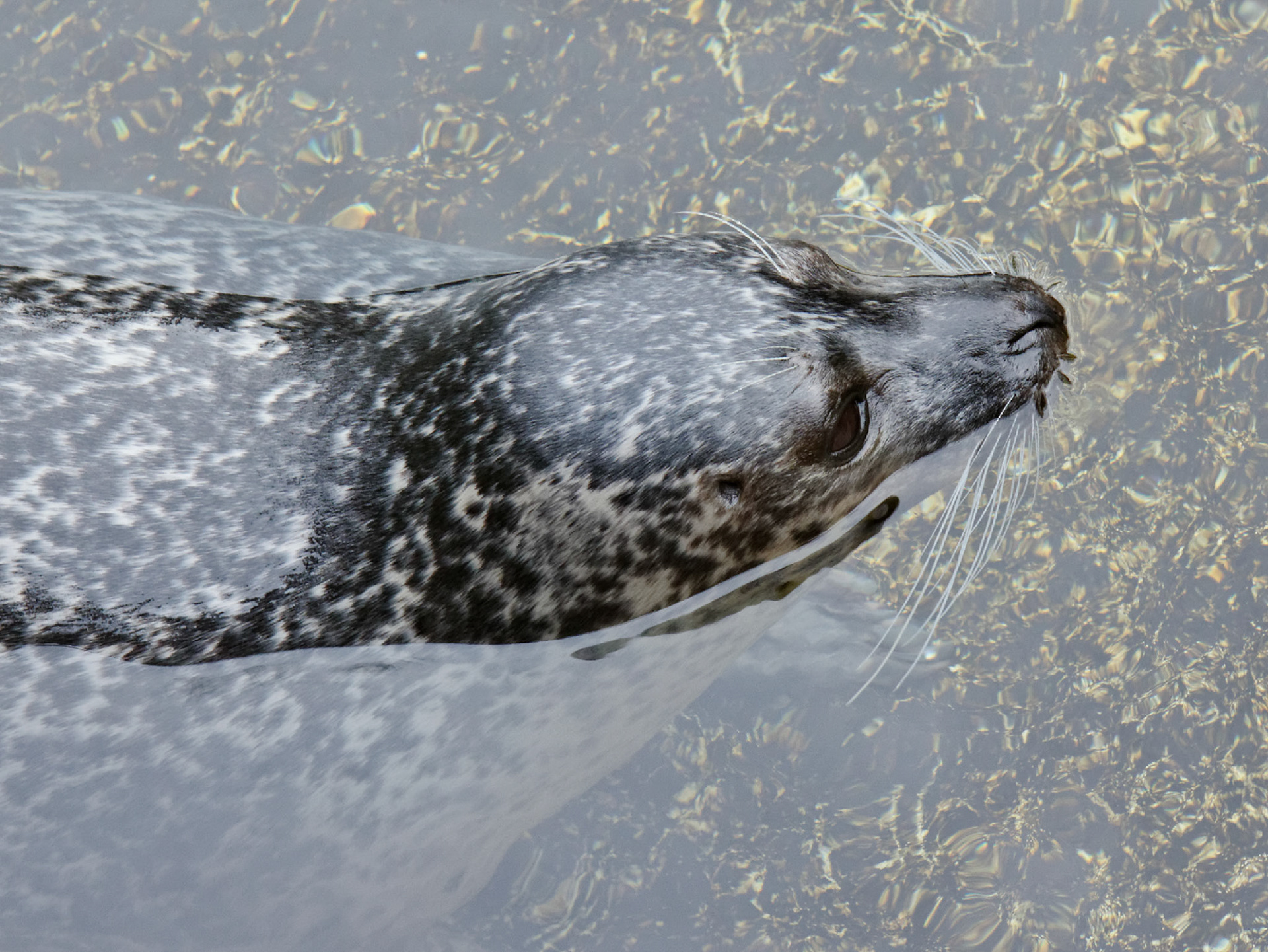AntwerpPlease see my other Photographs at: http://www.jamespdeans.co.uk/