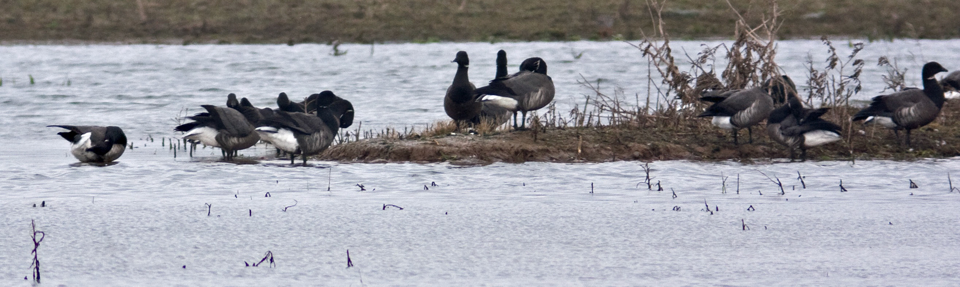 Frampton Marshes Please see my other Photographs at: http://www.jamespdeans.co.uk/