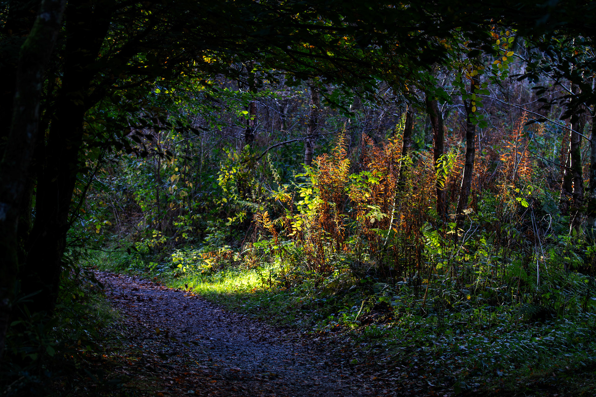 Polkemmet Country Park 10 October 2024