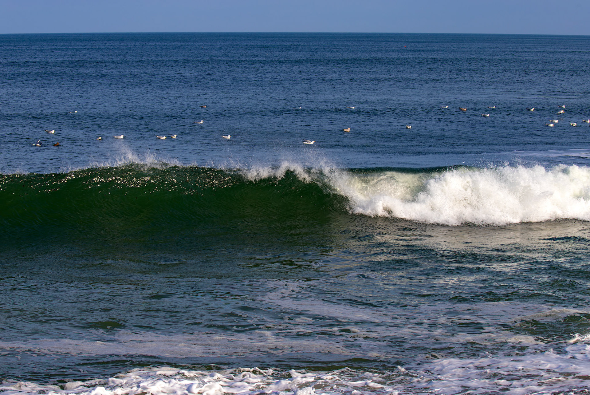 Cullen 05 March 2026