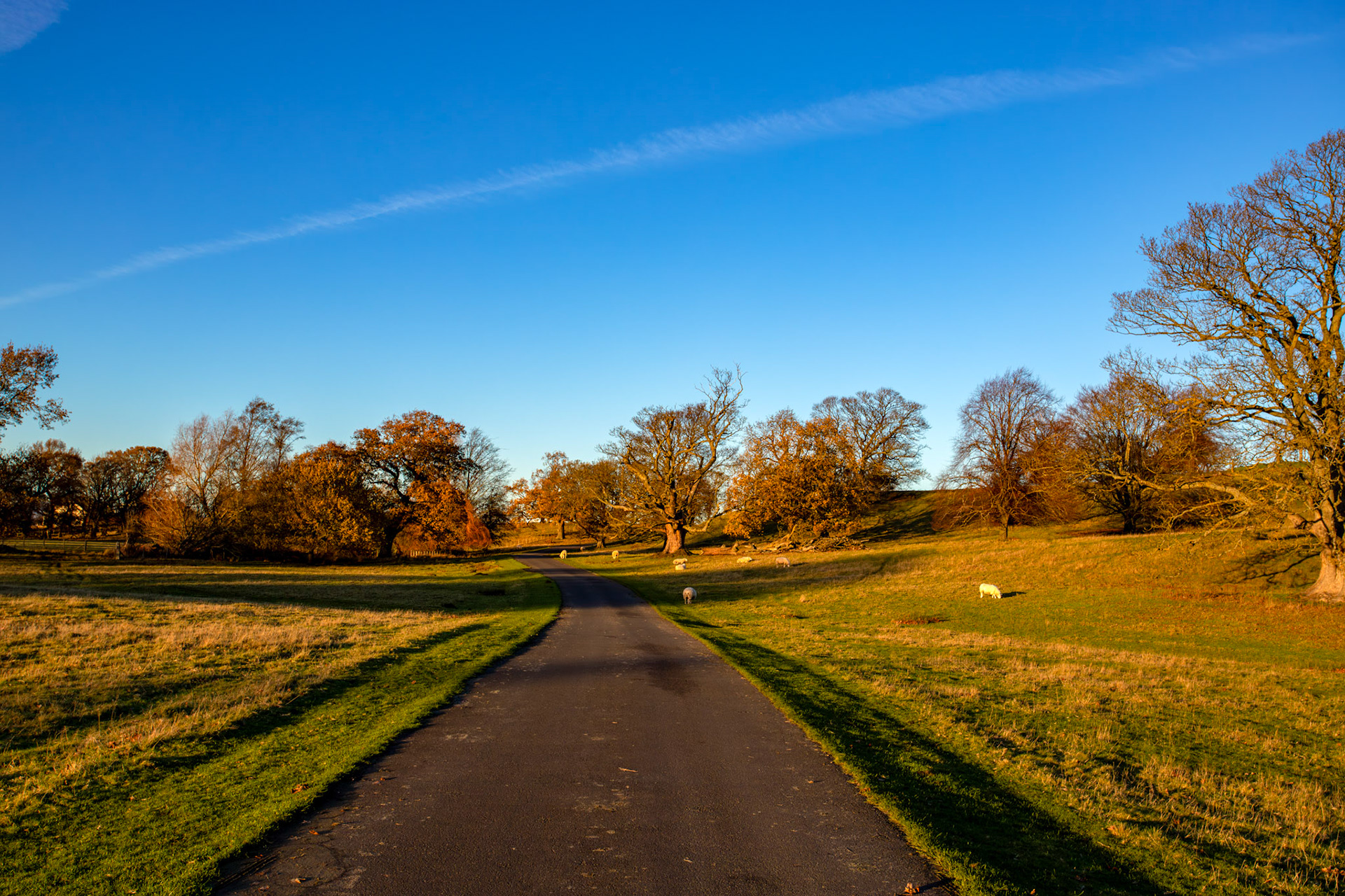 House of the Binns 30 November 2025