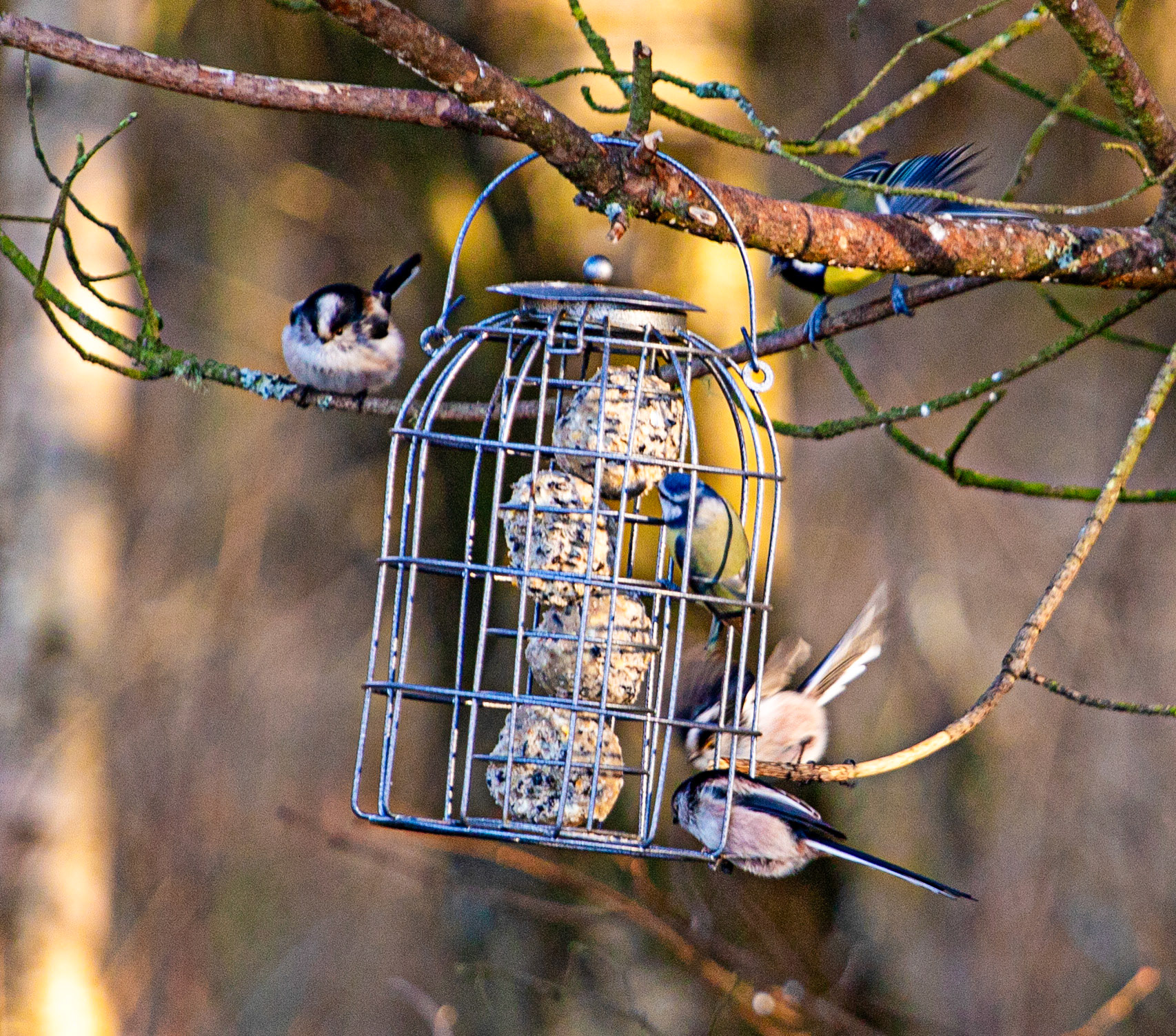 Korean War Memorial 18 January 2024