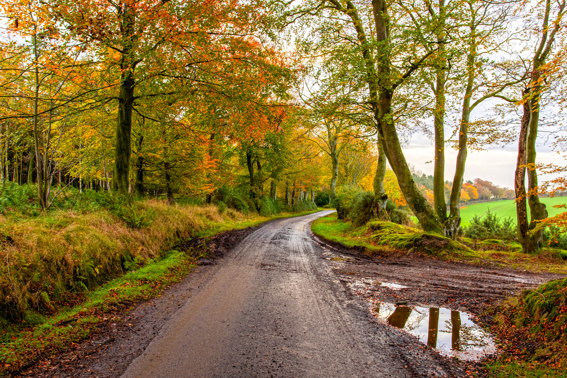 Morriston Borders 27 Oct 2022