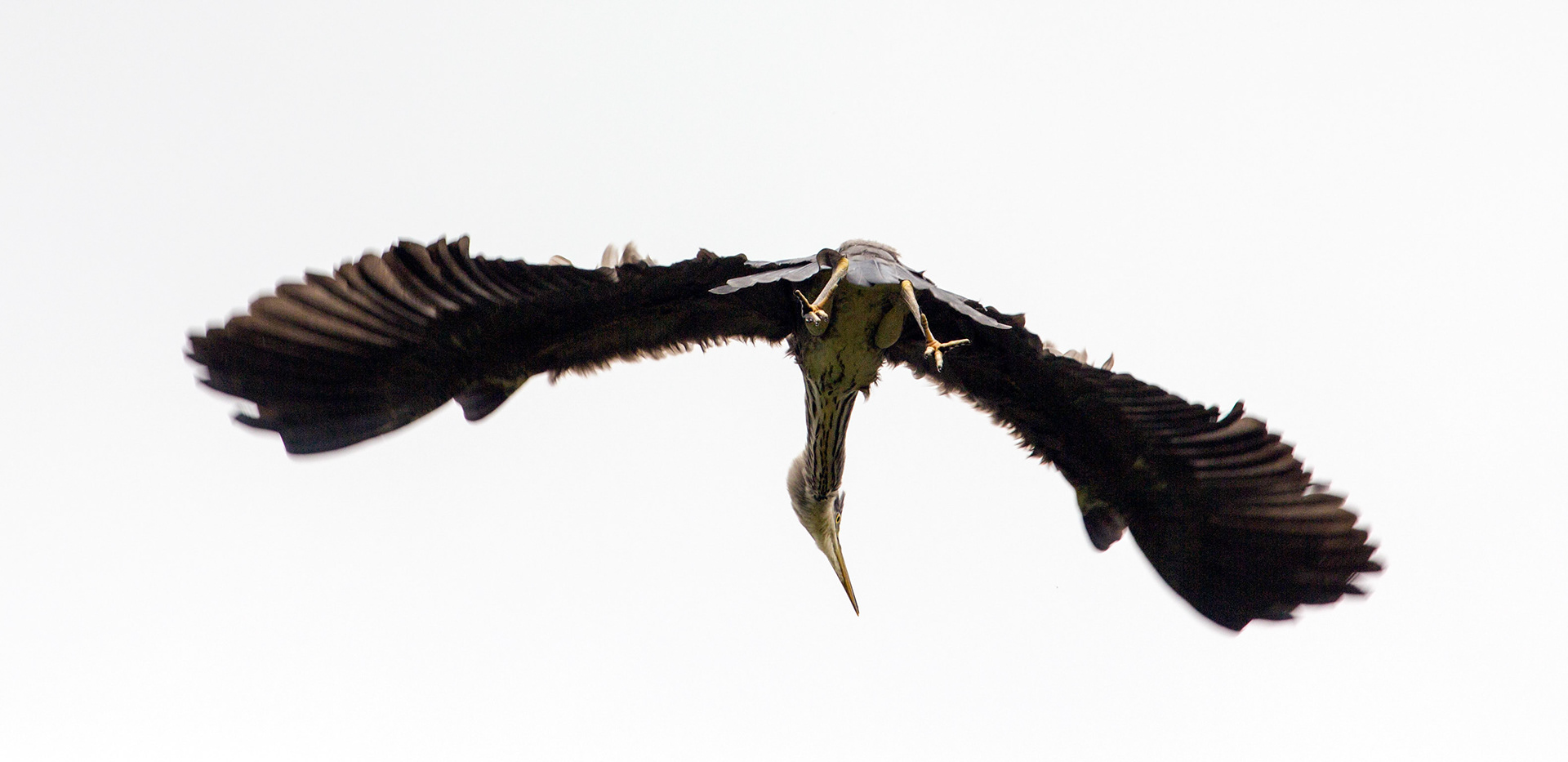 CernayPlease see my other Photographs at: http://www.jamespdeans.co.uk/