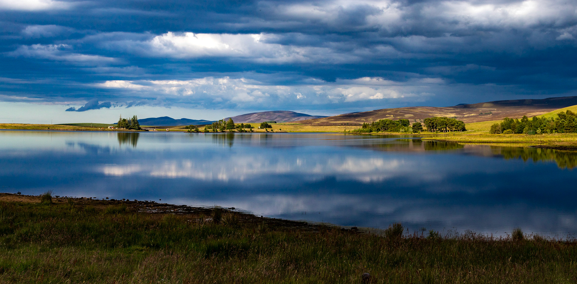 Harperrig 08 July 2024