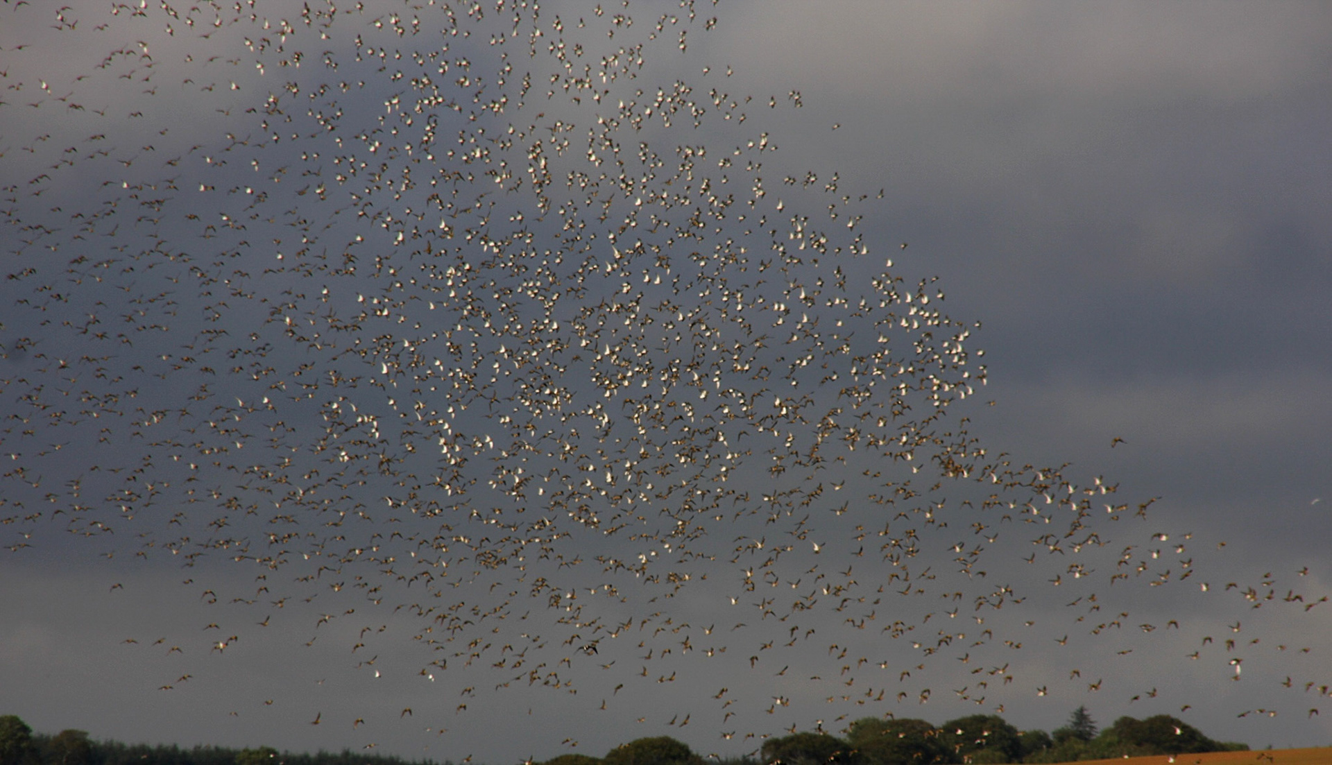 YthanPlease see my other Photographs at: http://www.jamespdeans.co.uk/