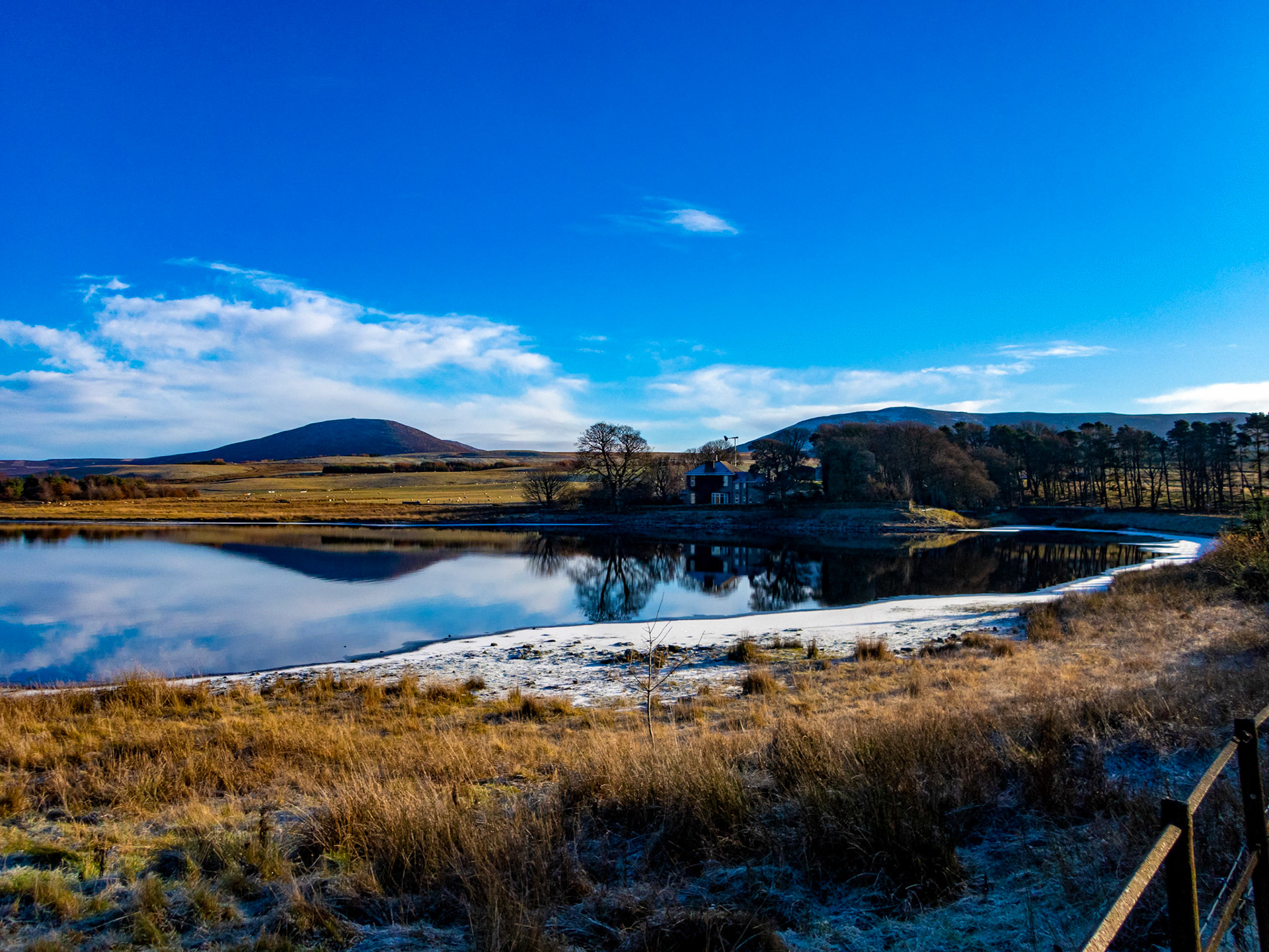 Swim at Harperrig 08 December 2022
