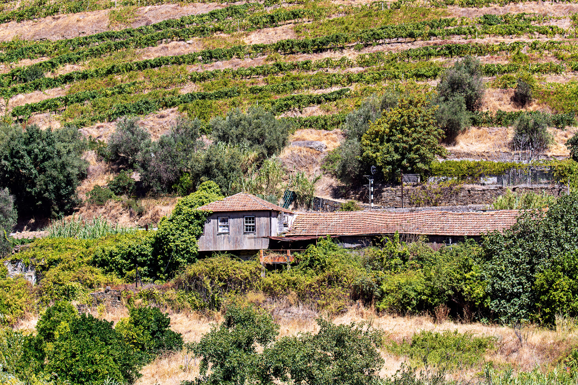 Douro cruise 21 August 2026