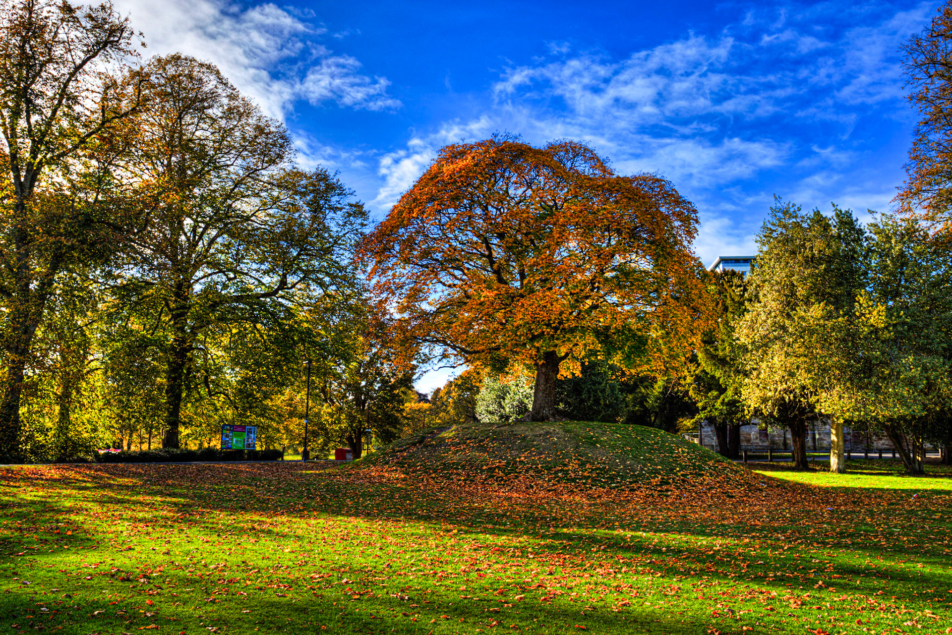 Callendar Park, Falkirk 11 October 2025