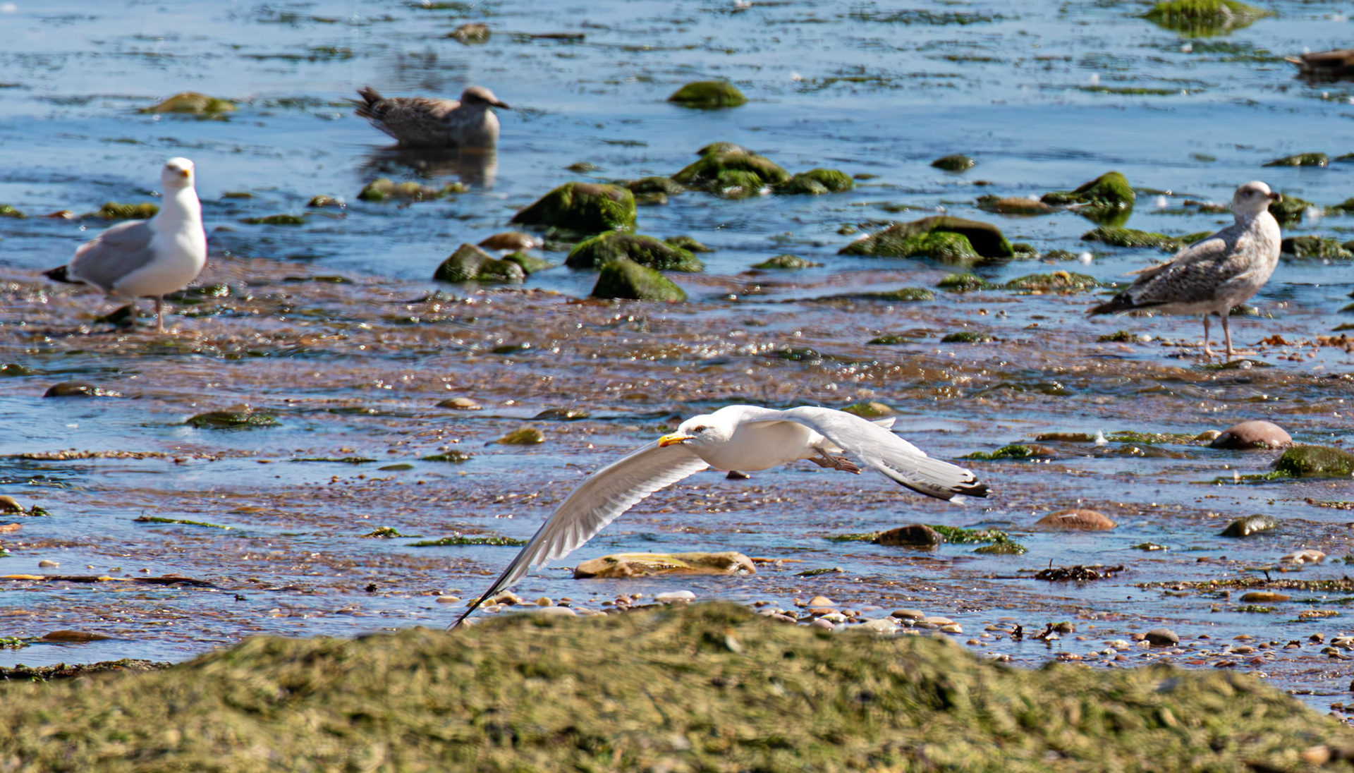 Stonehaven 30 July 2026