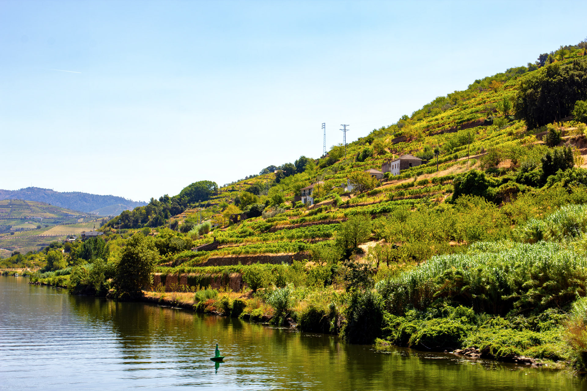 Douro cruise 21 August 2026