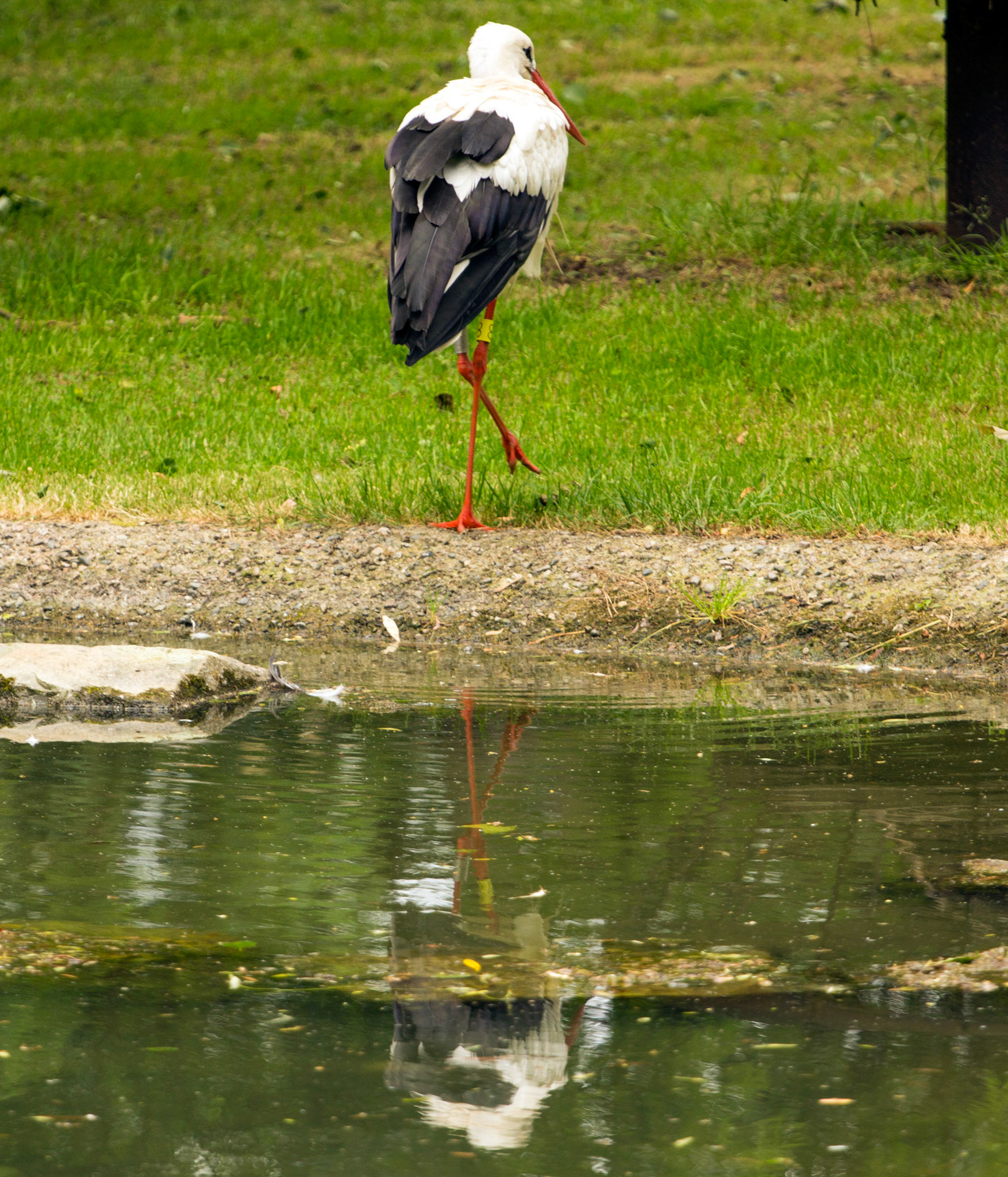 CernayPlease see my other Photographs at: http://www.jamespdeans.co.uk/