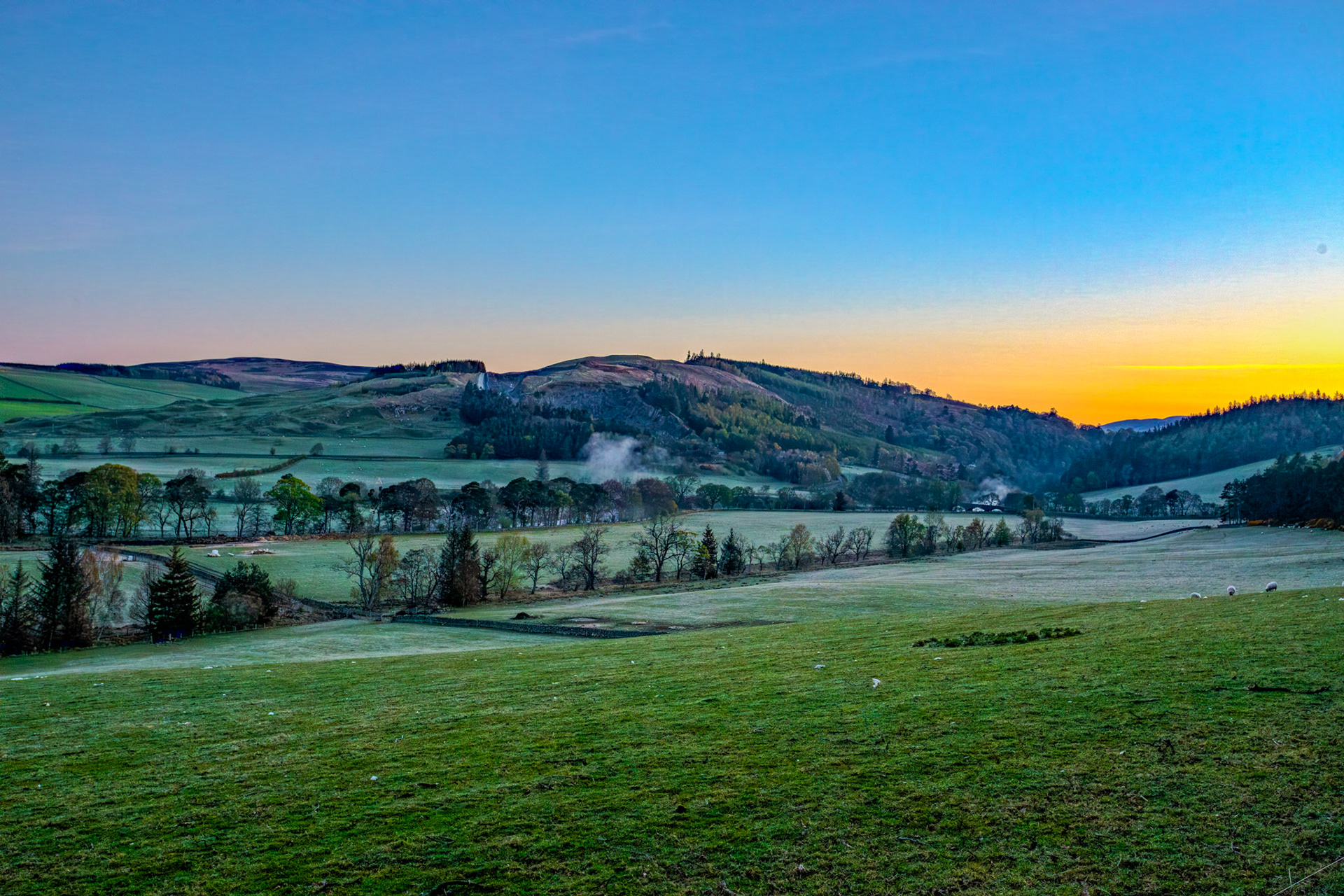 Mist over the river Tweed