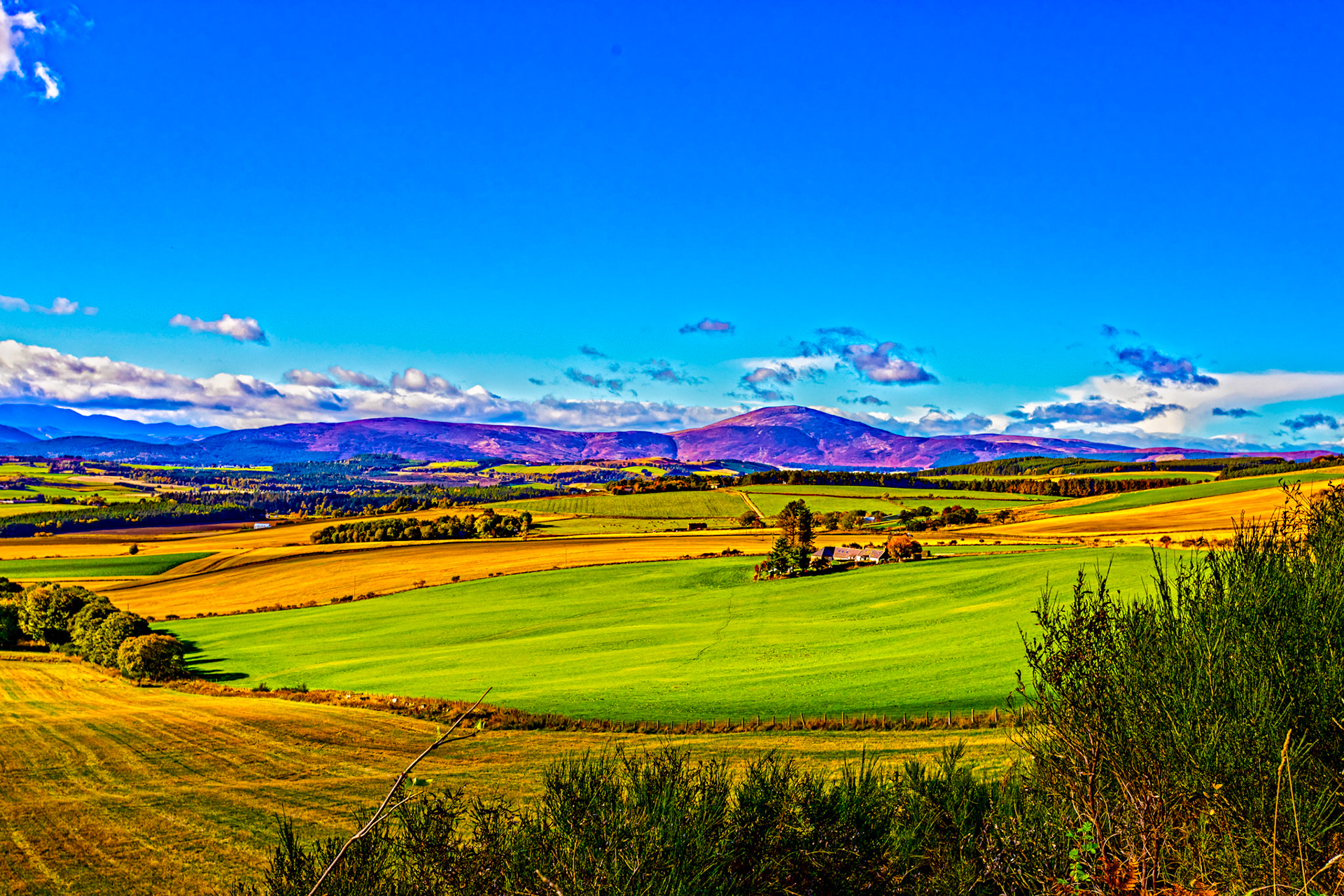 Autumn in Aberdeenshire 14 to 16 October 2022