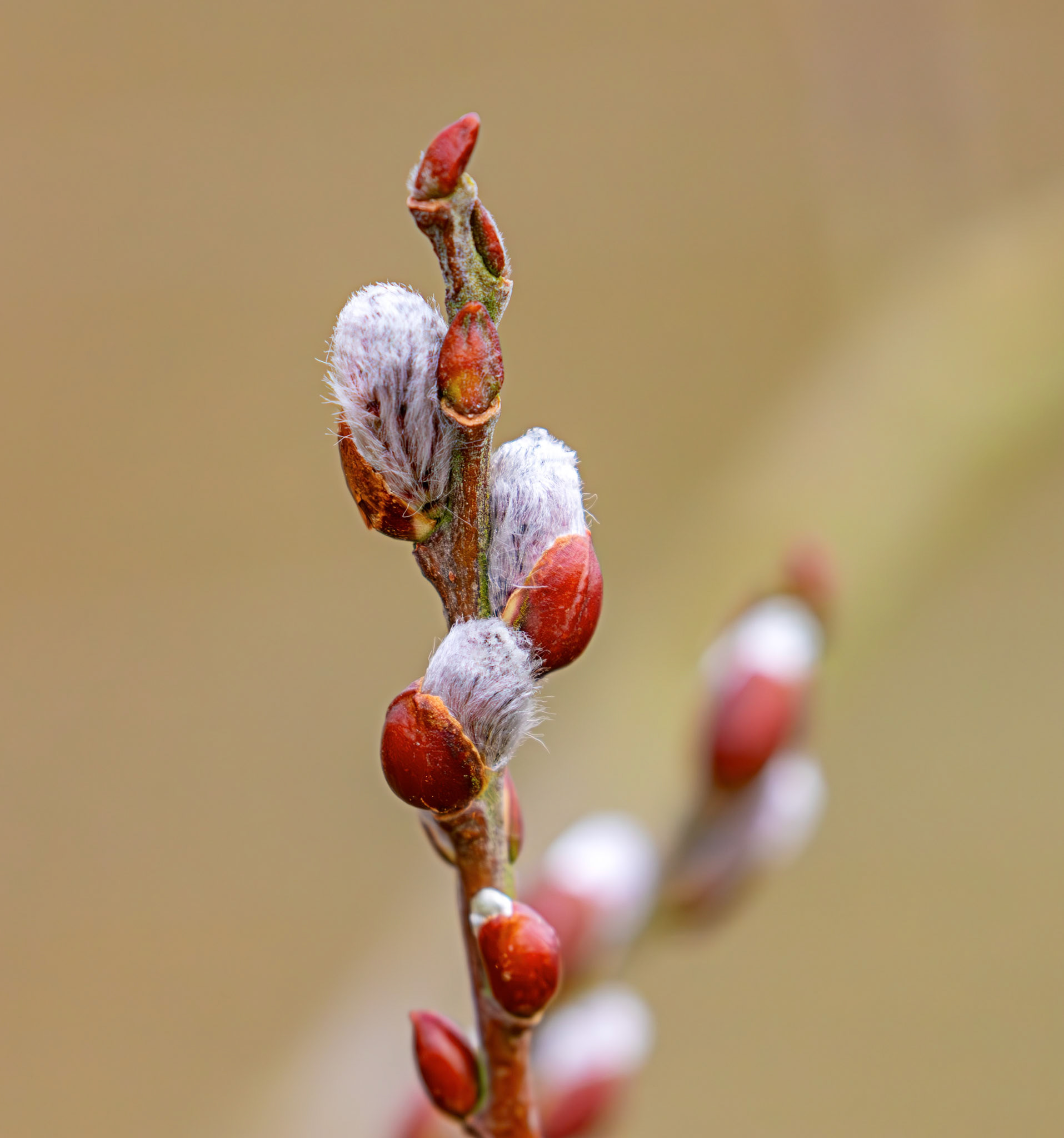 Fintry 28 February 2026