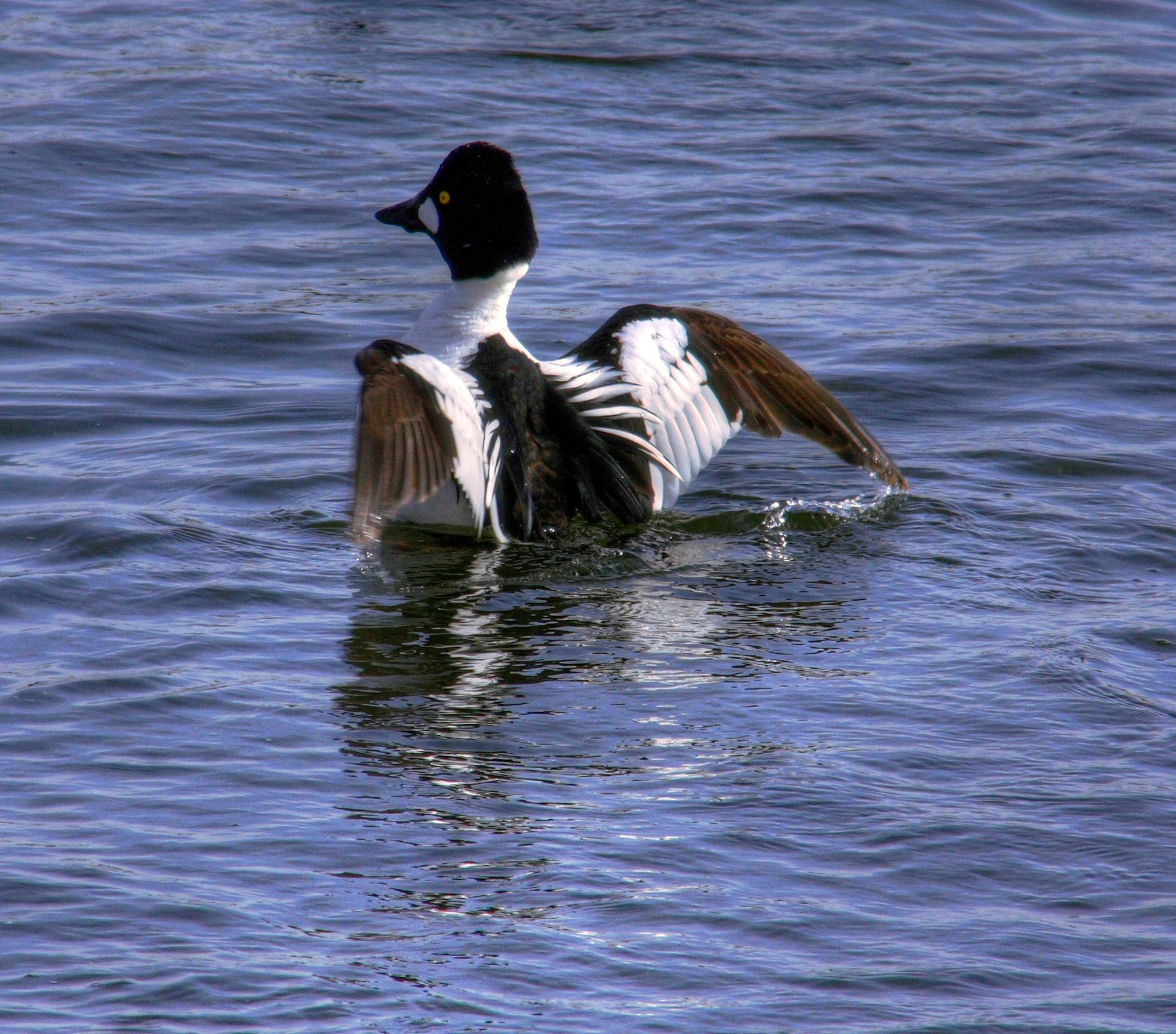 Hugganfield Loch Please see my other Photographs at: http://www.jamespdeans.co.uk/