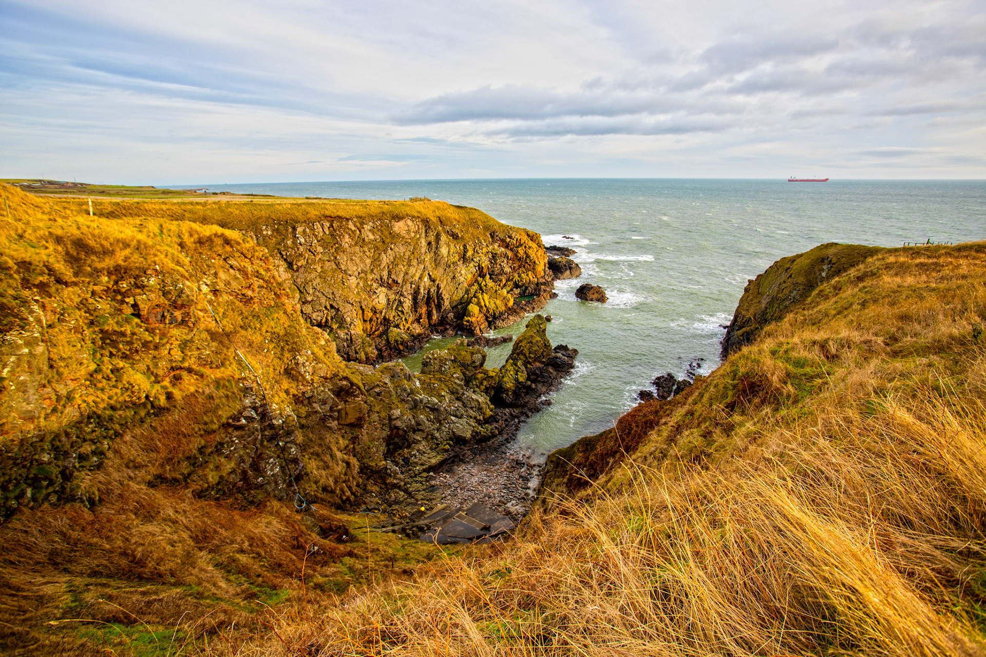 Burnbanks Haven - Walk Cove to Aberdeen 27 January 2024