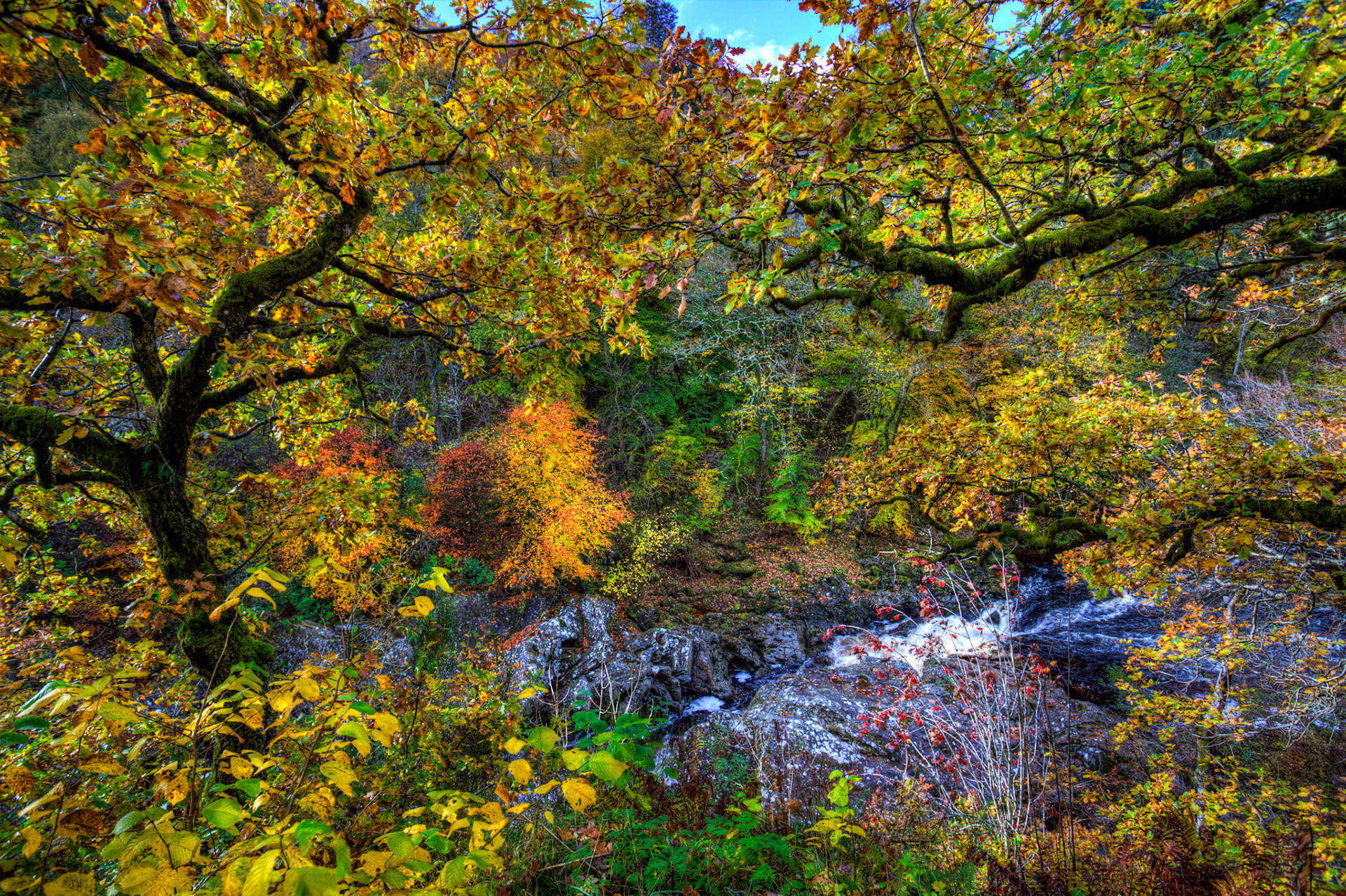 Killiecrankie. Autumnal Tour around Perthshire 19 October 2024