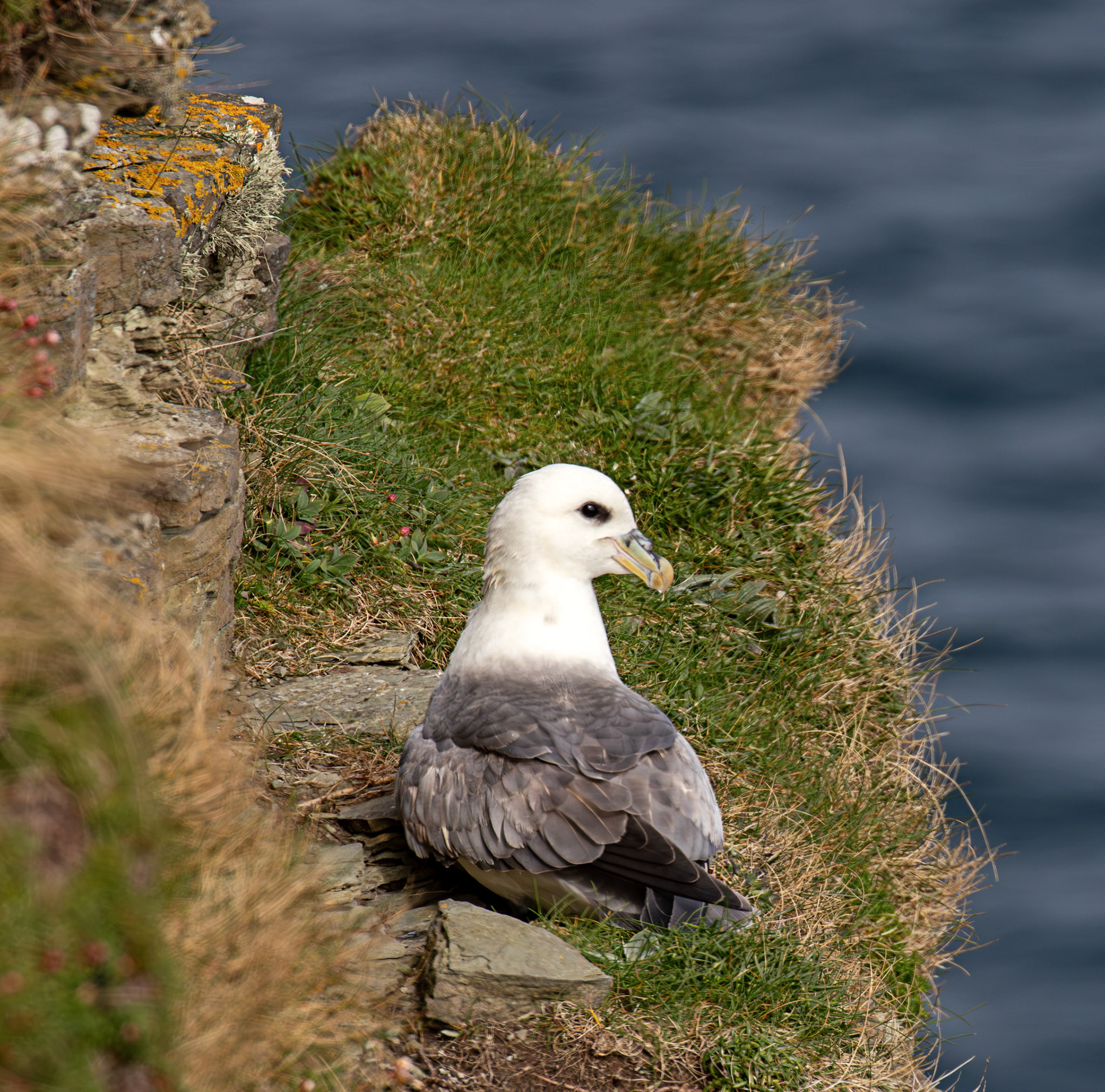 Duncansby Head 03 May 2026