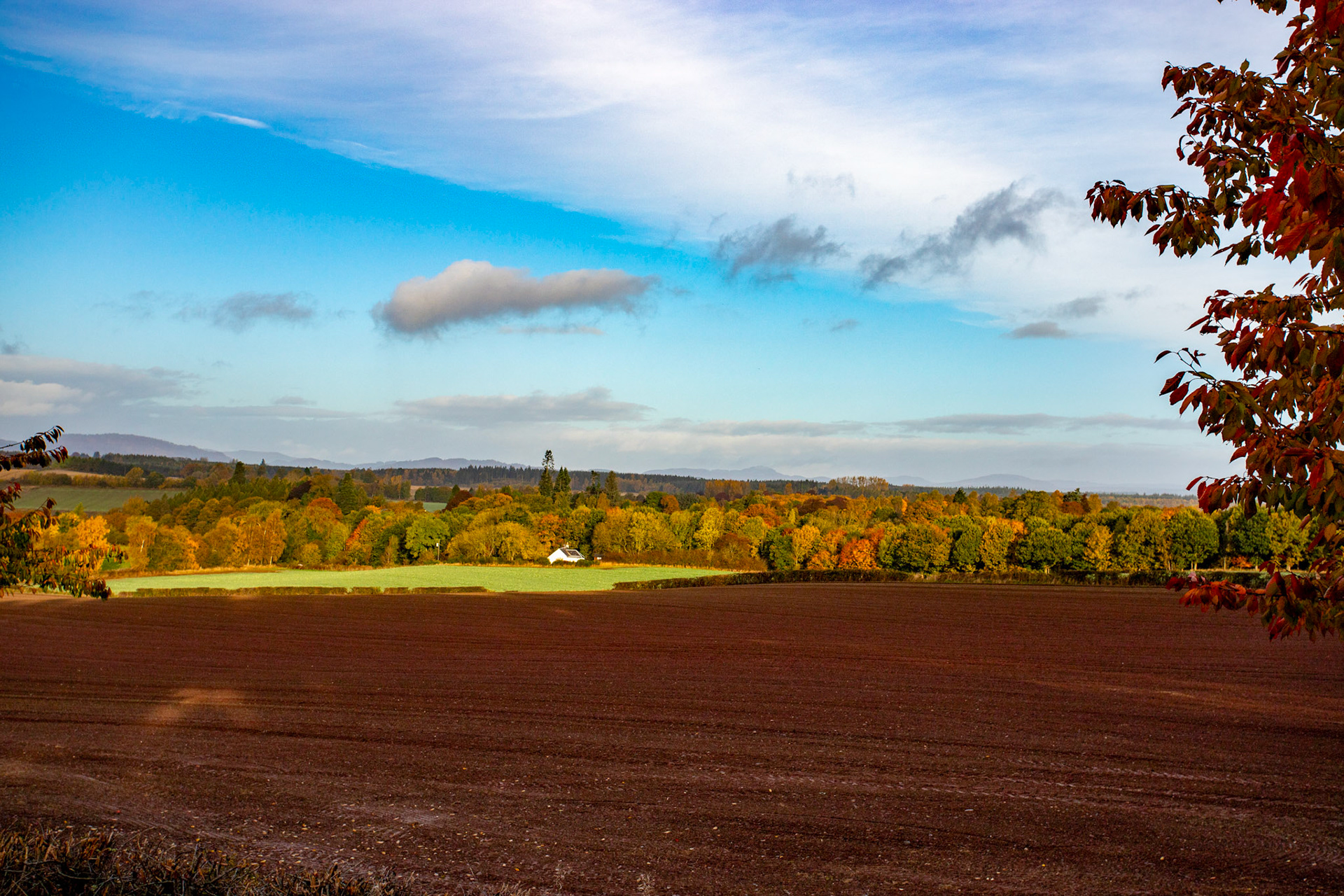 Autumnal Tour around Perthshire 19 October 2024