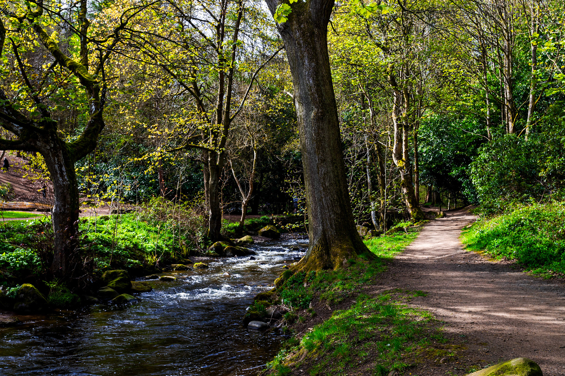 Riverside Park Glenrothes 20 April 2024