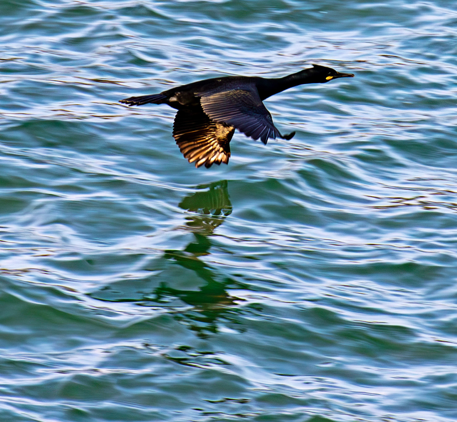 Portknockie 05 March 2026