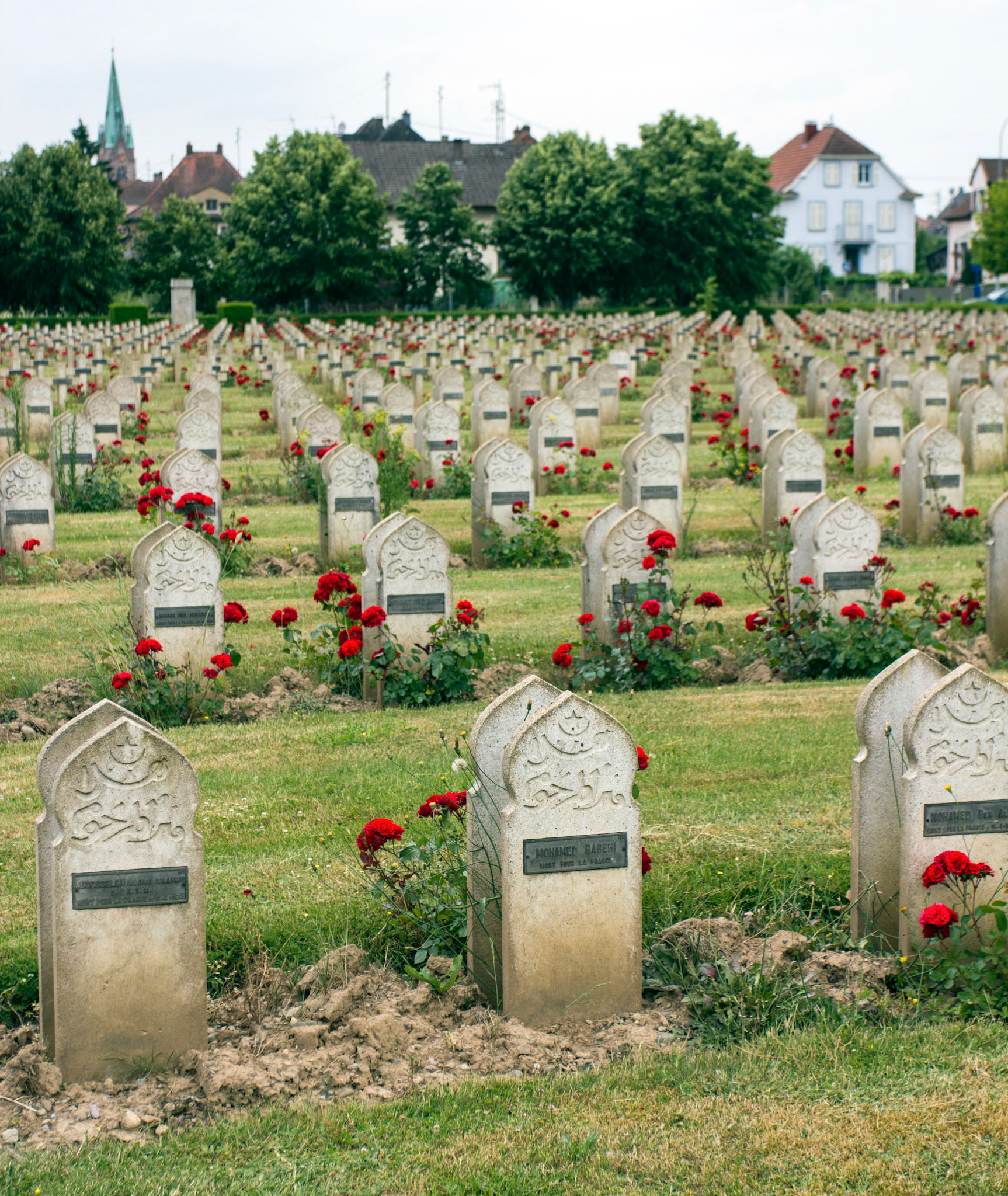 CernayPlease see my other Photographs at: http://www.jamespdeans.co.uk/