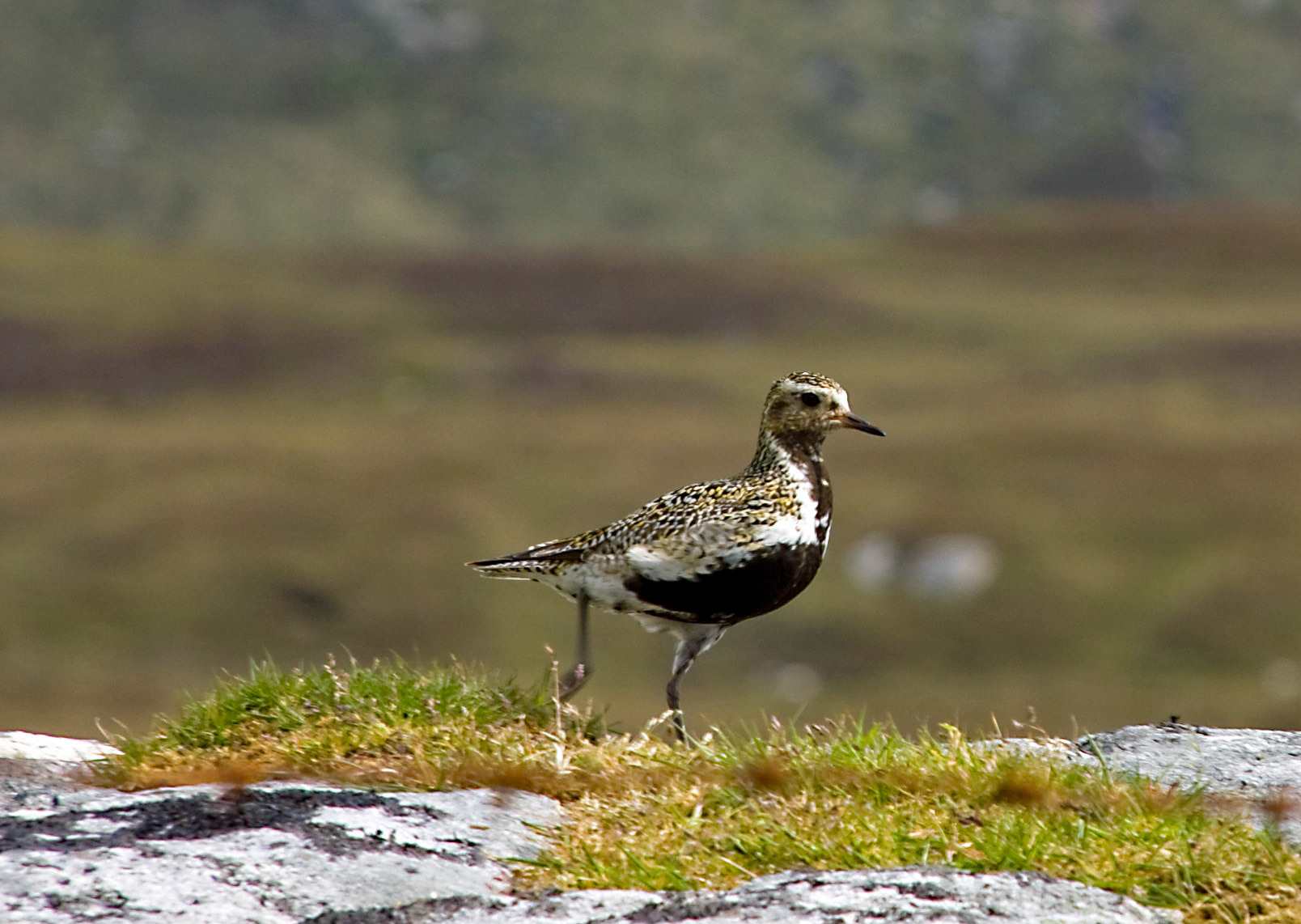 South UistPlease see my other Photographs at: http://www.jamespdeans.co.uk/