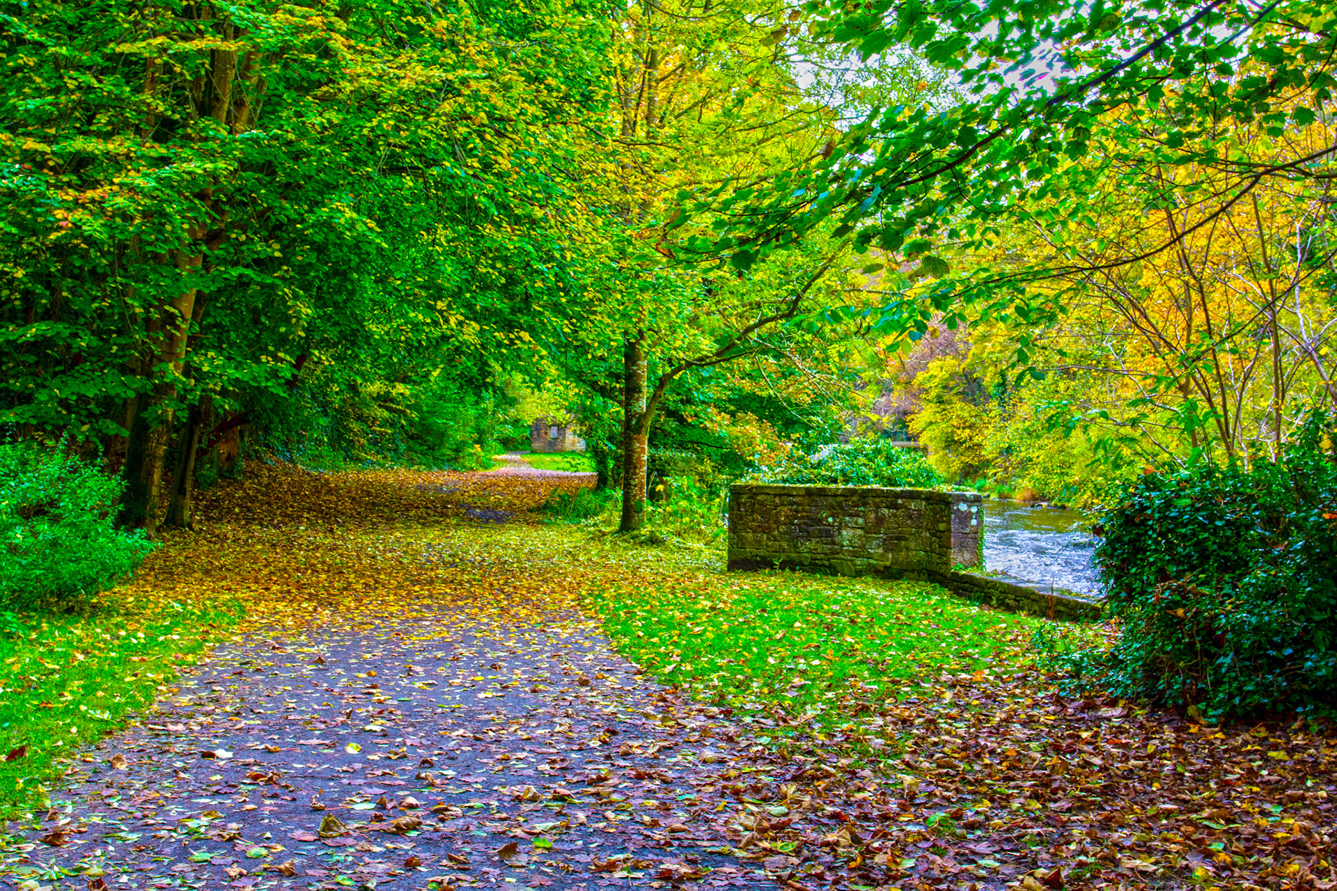 Cramond 18 October 2024
