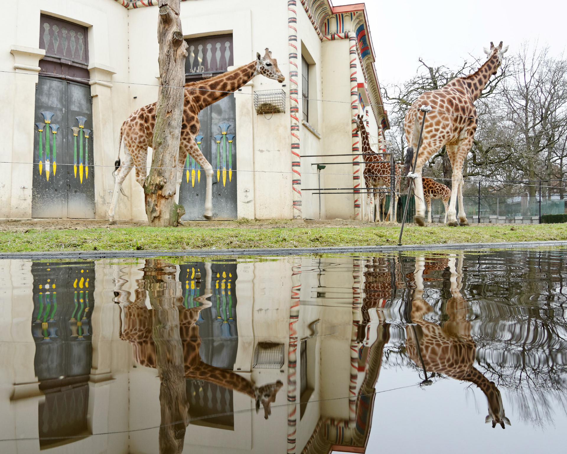 AntwerpPlease see my other Photographs at: http://www.jamespdeans.co.uk/