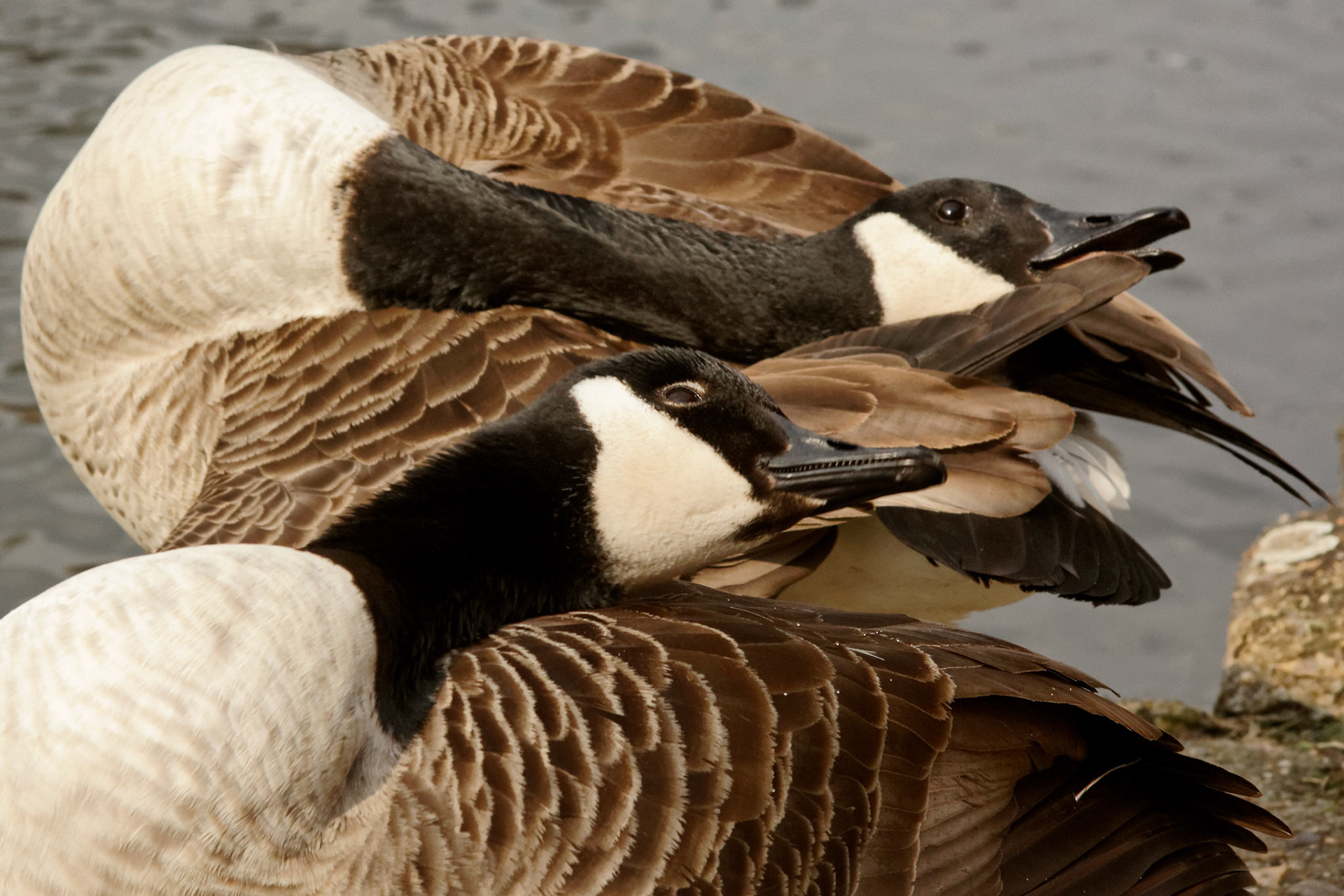 LondonPlease see my other Photographs at: http://www.jamespdeans.co.uk/