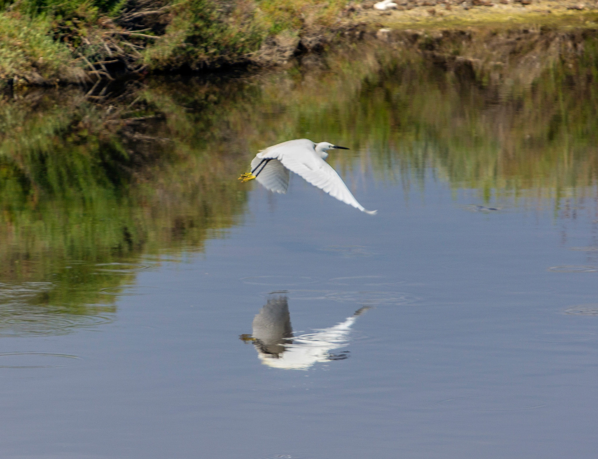AlcudiaPlease see my other Photographs at: www.jamespdeans.co.uk