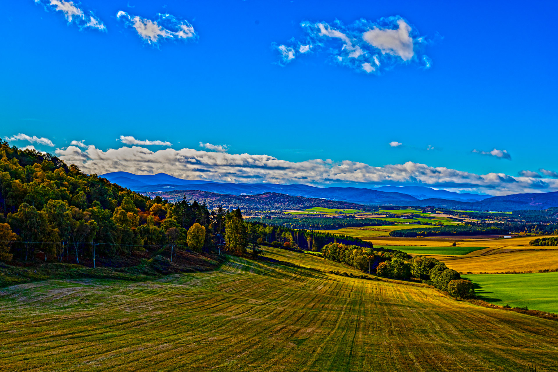 Autumn in Aberdeenshire 14 to 16 October 2022