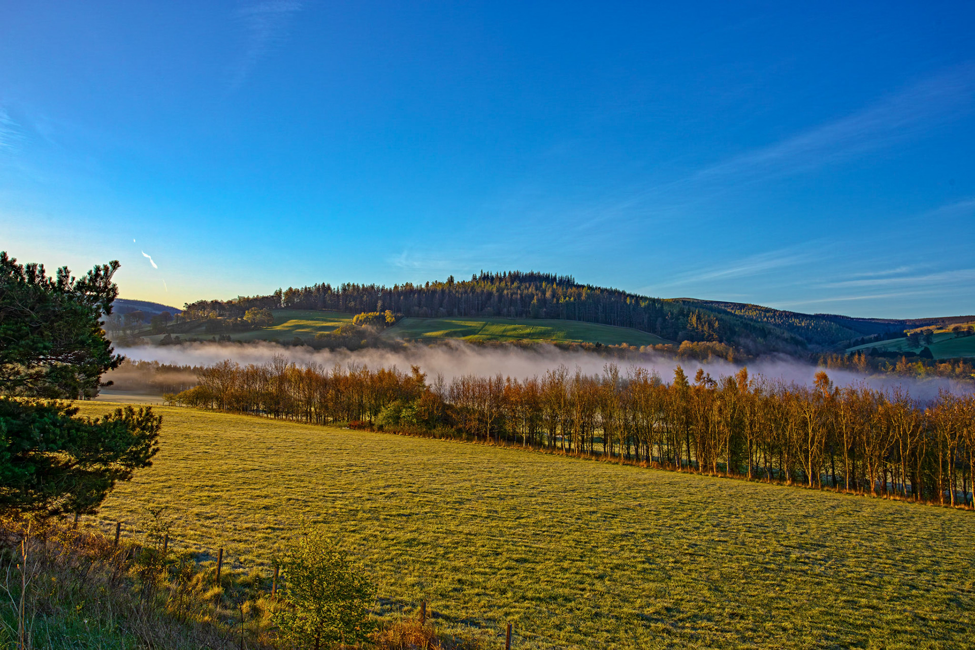 Mist over the river Tweed