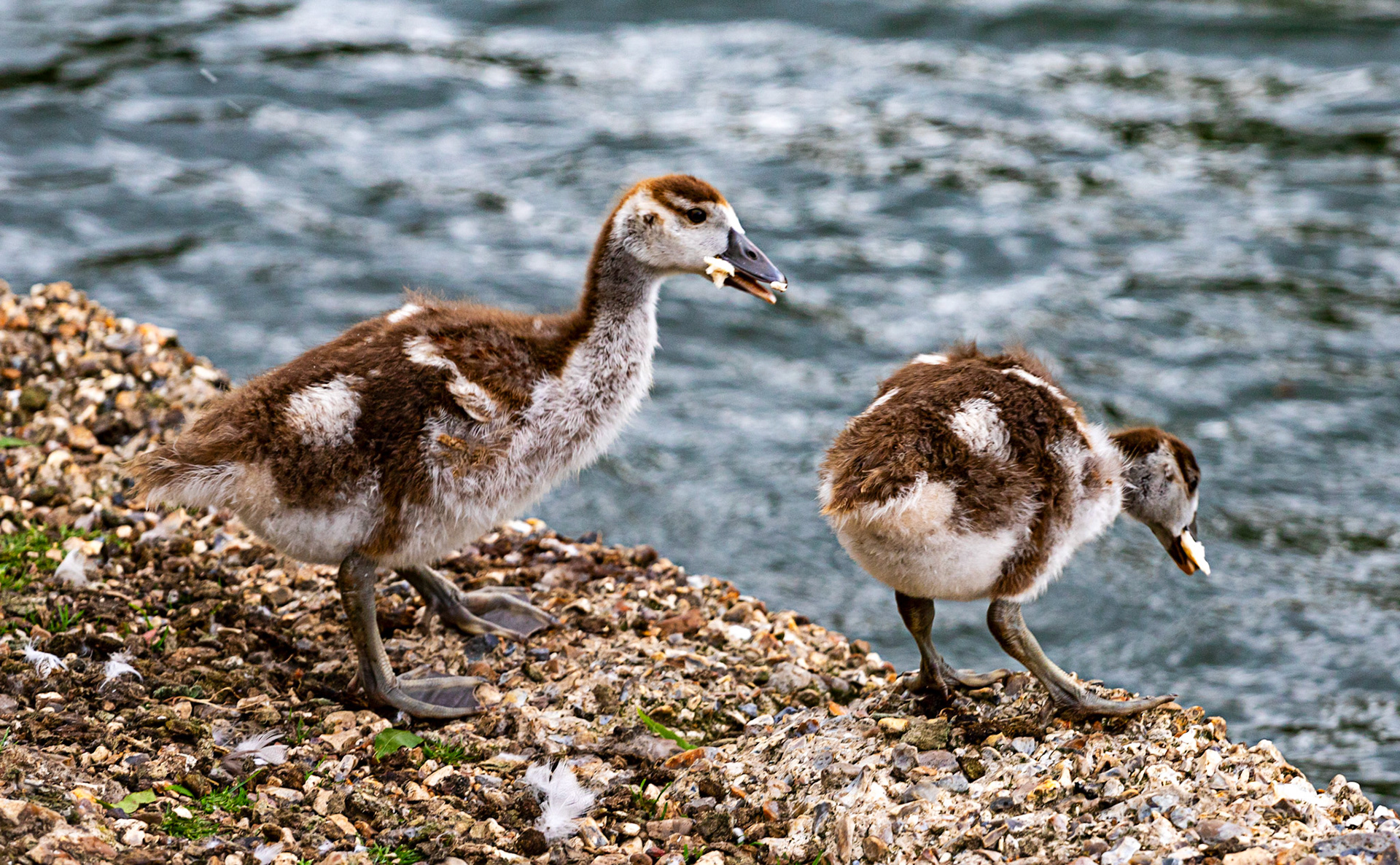 Reading 07 June 2024