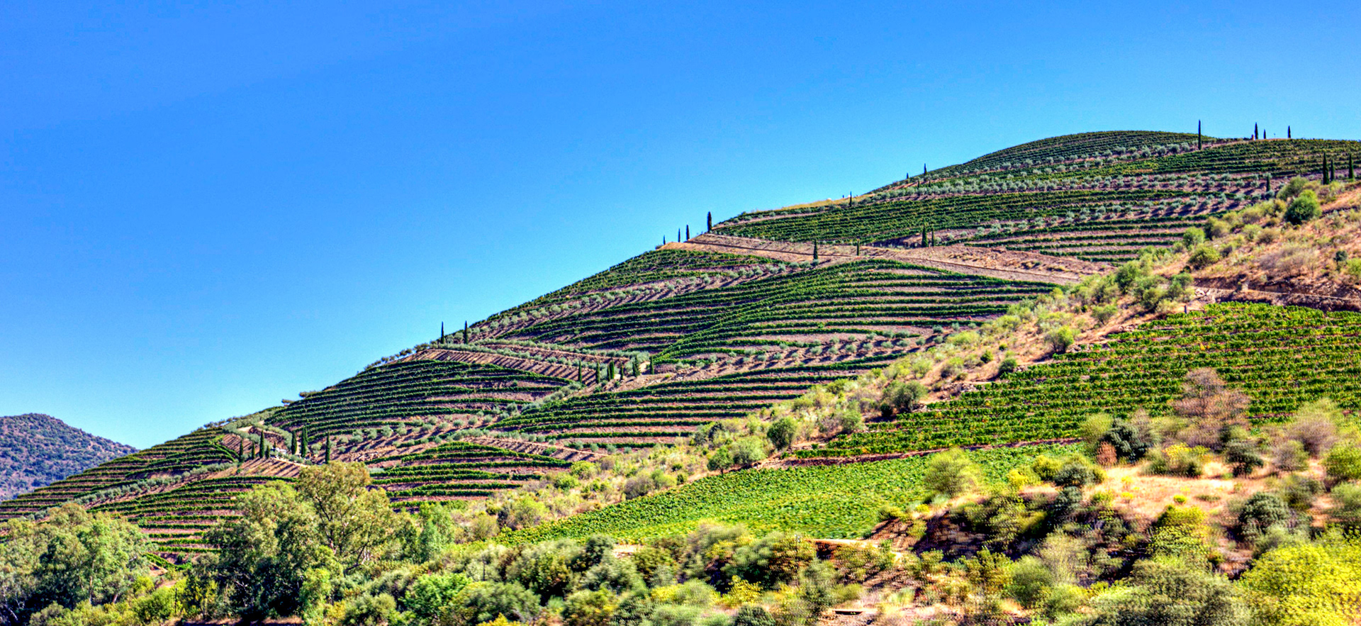 Douro cruise 22 August 2026