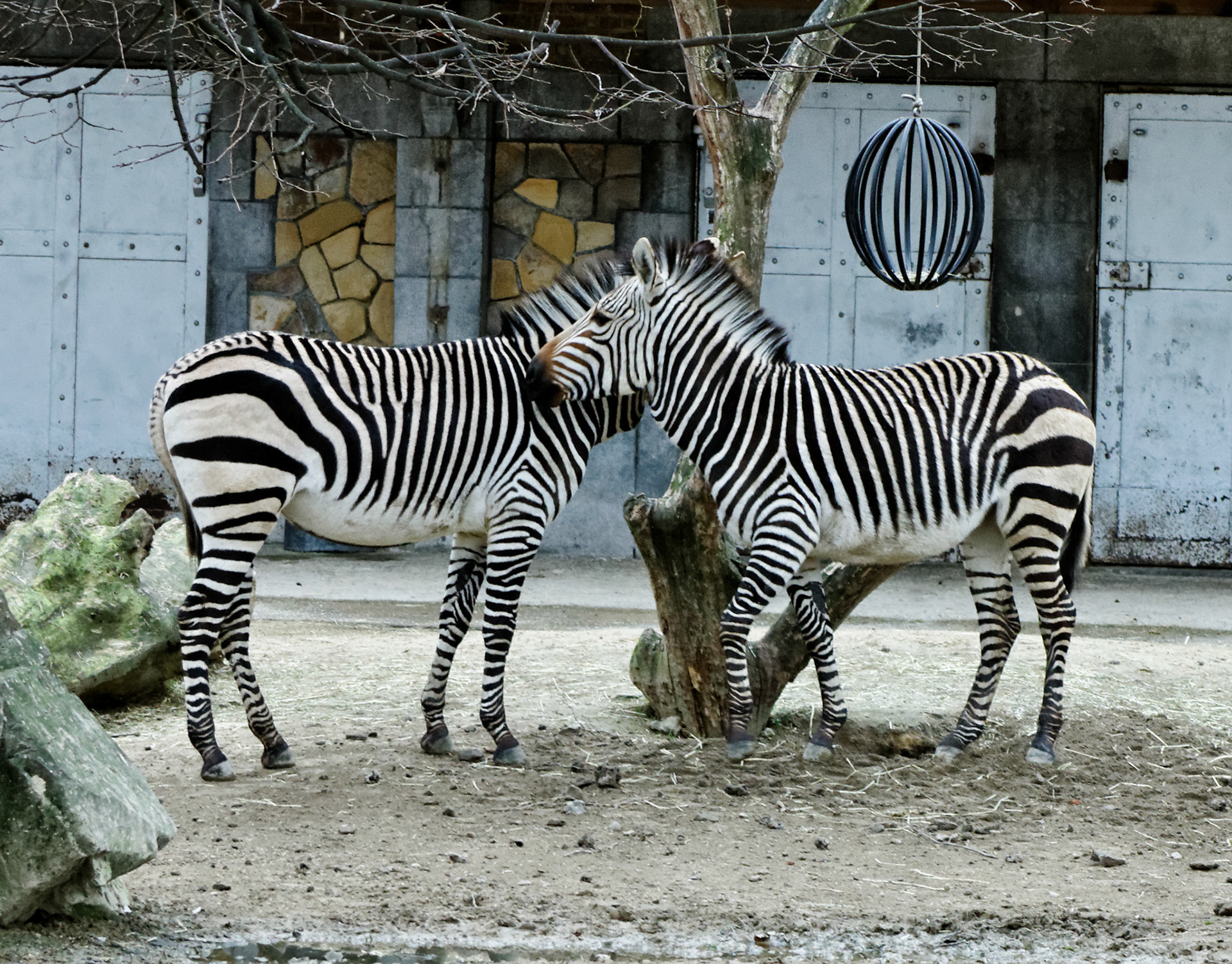 AntwerpPlease see my other Photographs at: http://www.jamespdeans.co.uk/