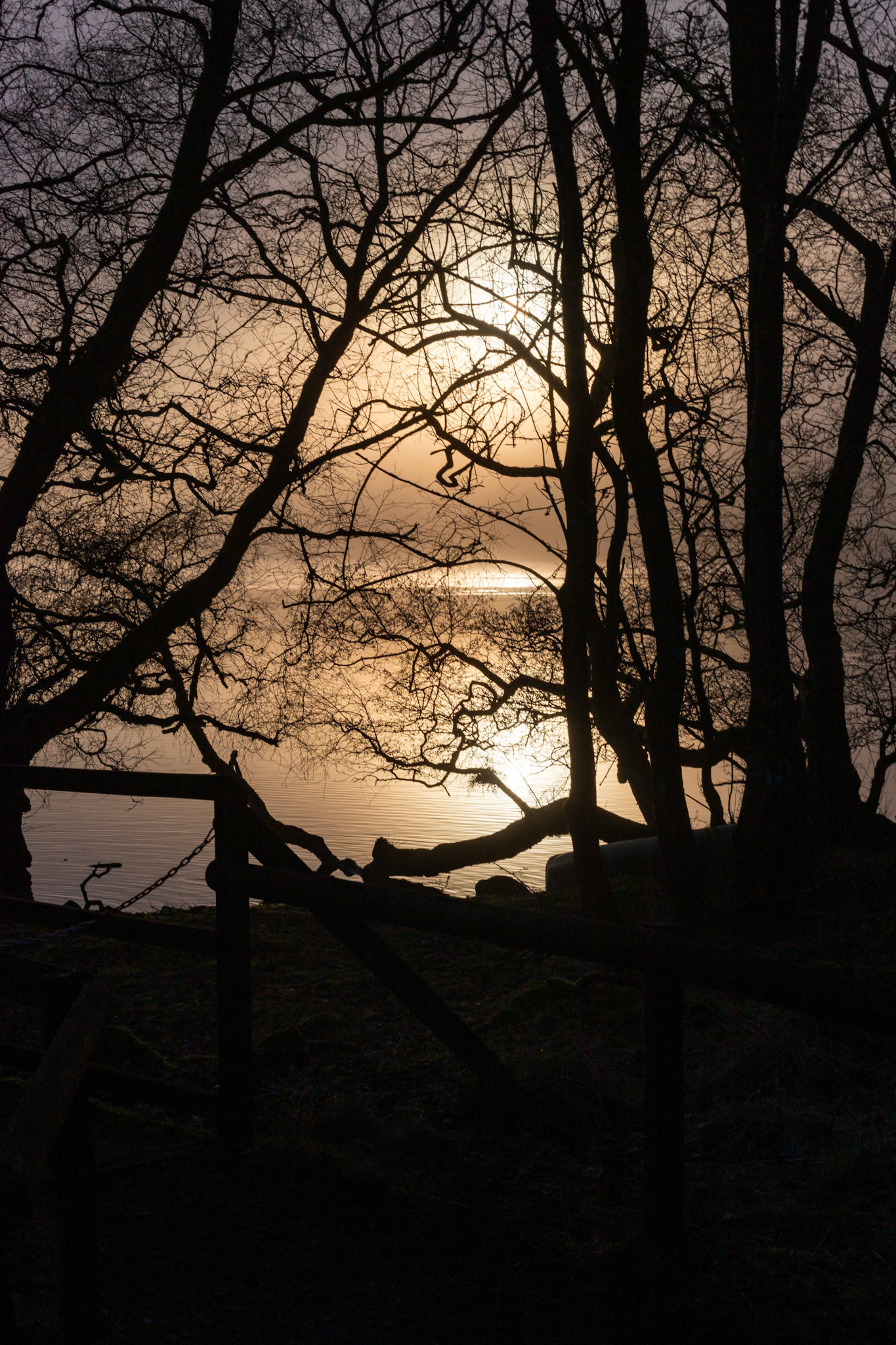 Sunrise atLoch o' the Lowes - Day Out 01 March 2024