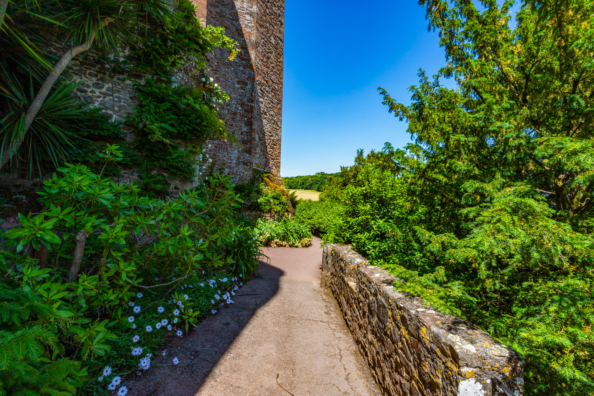 Dunster 22 June 2023