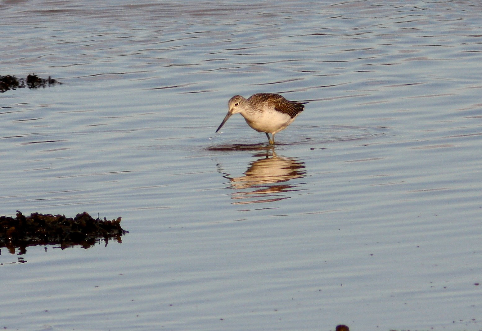 YthanPlease see my other Photographs at: http://www.jamespdeans.co.uk/