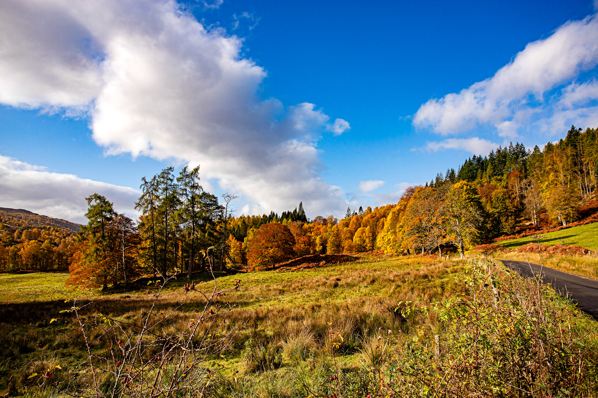 Autumnal Tour around Perthshire 19 October 2024