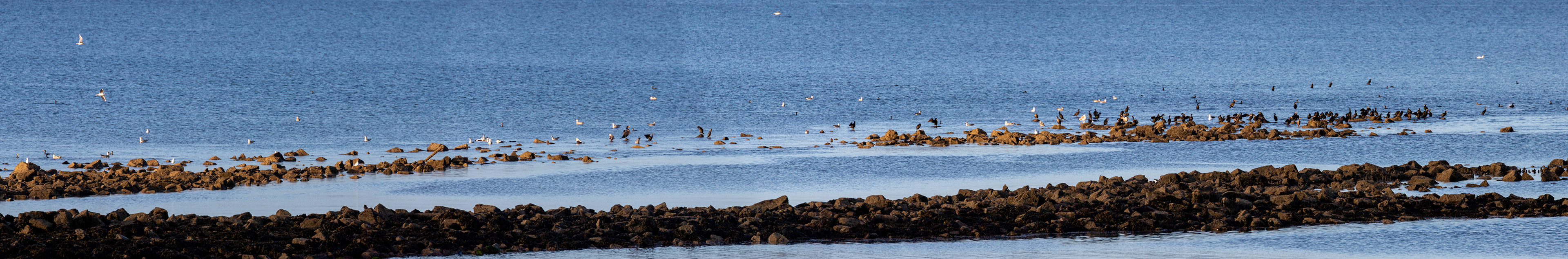 Irvine Sea Front 01 October 2024