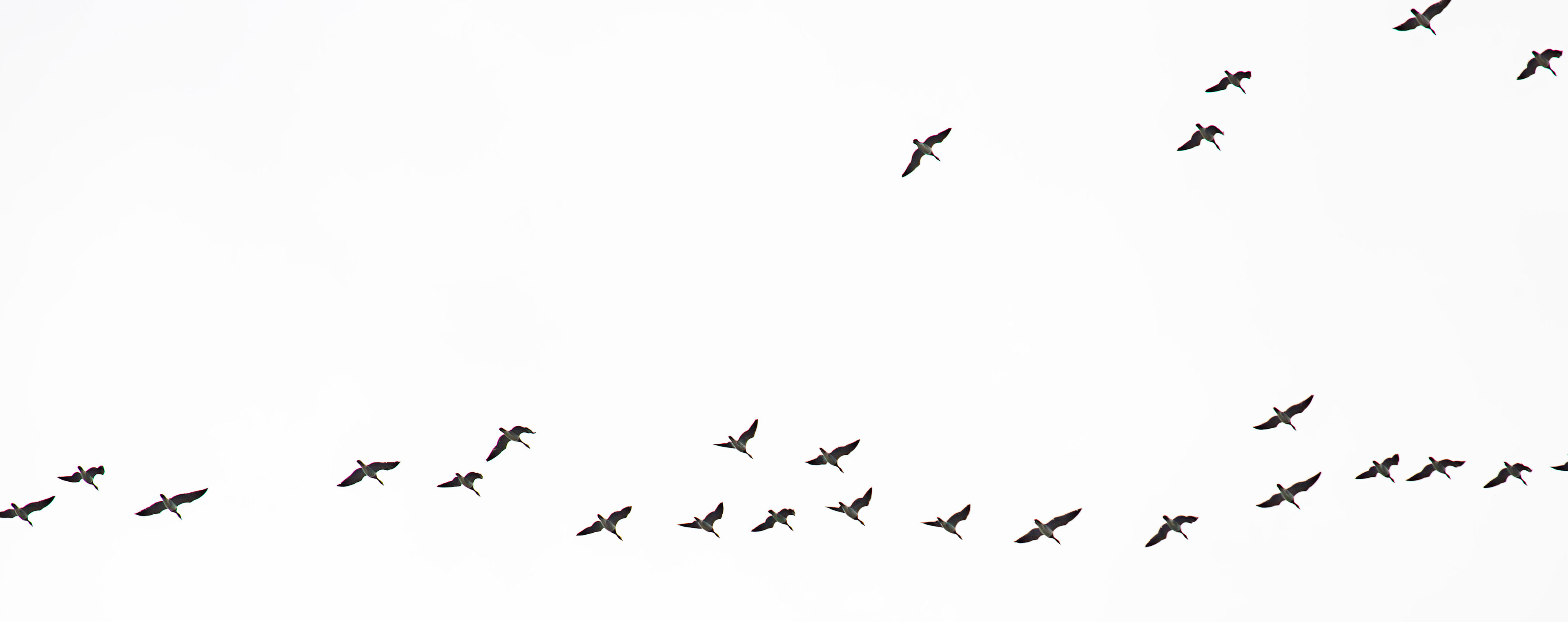 Bavelaw 24 Sept 2025