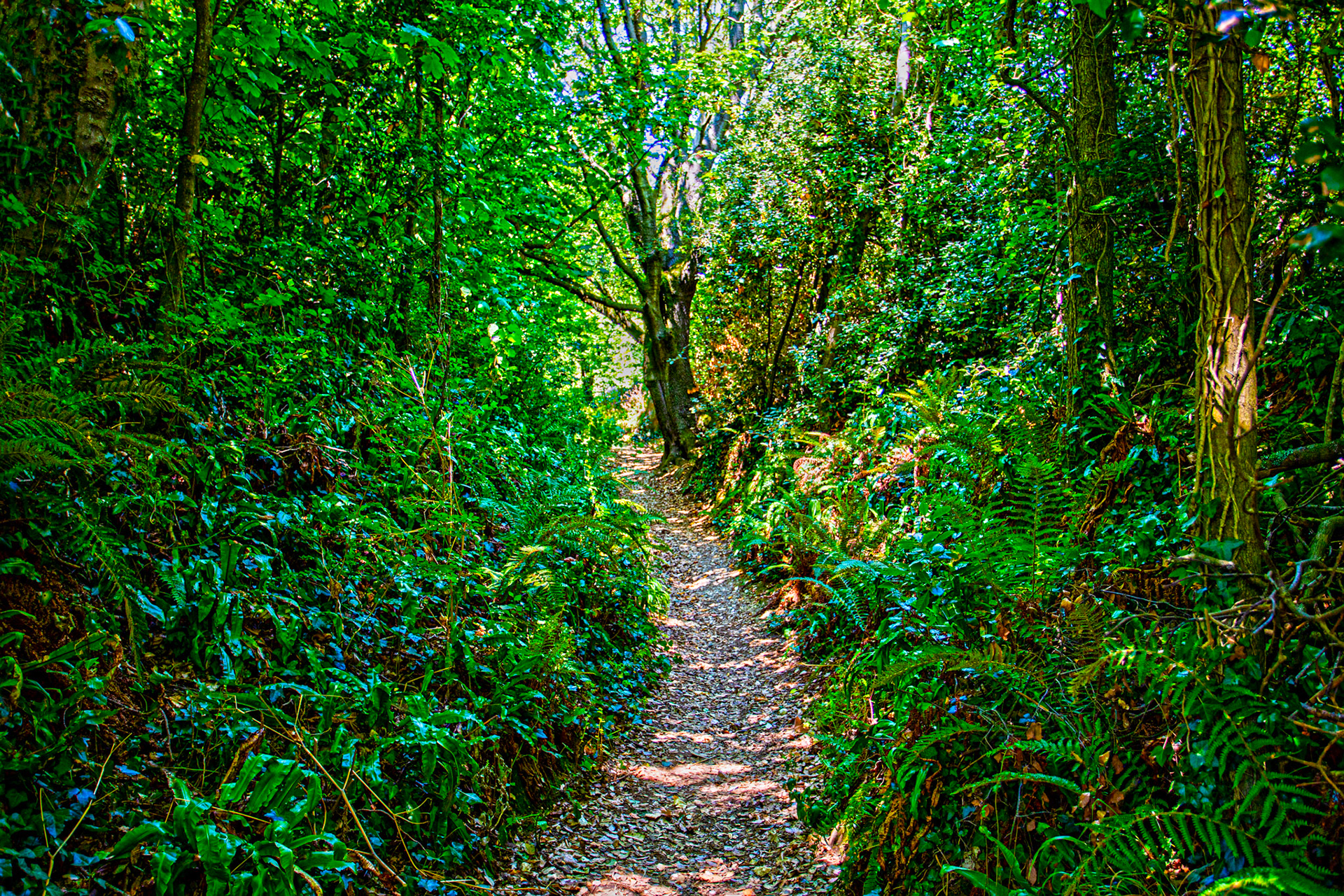 Mottistone IOW 16 July 2022