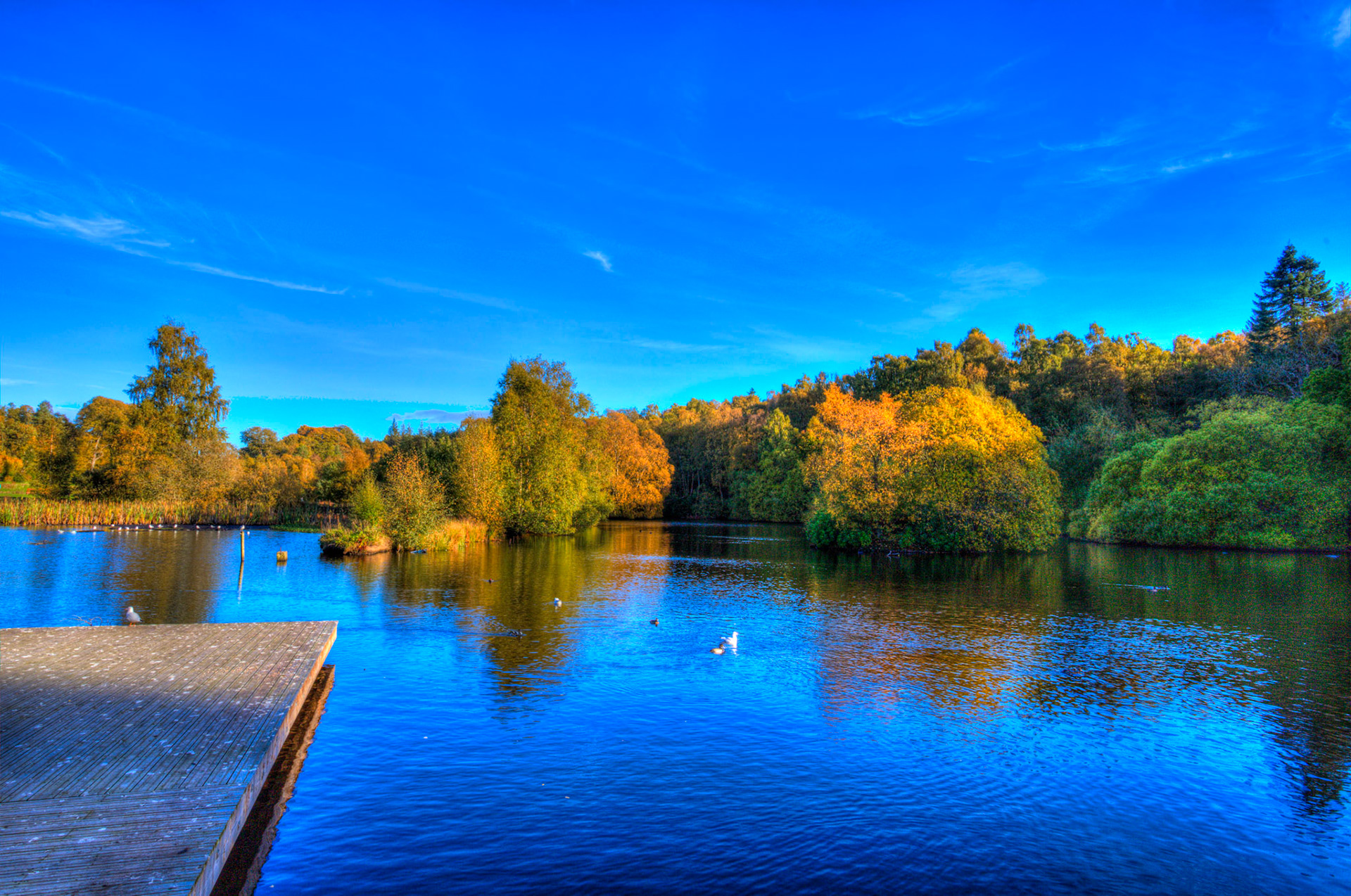 Callendar Park, Falkirk 11 October 2025