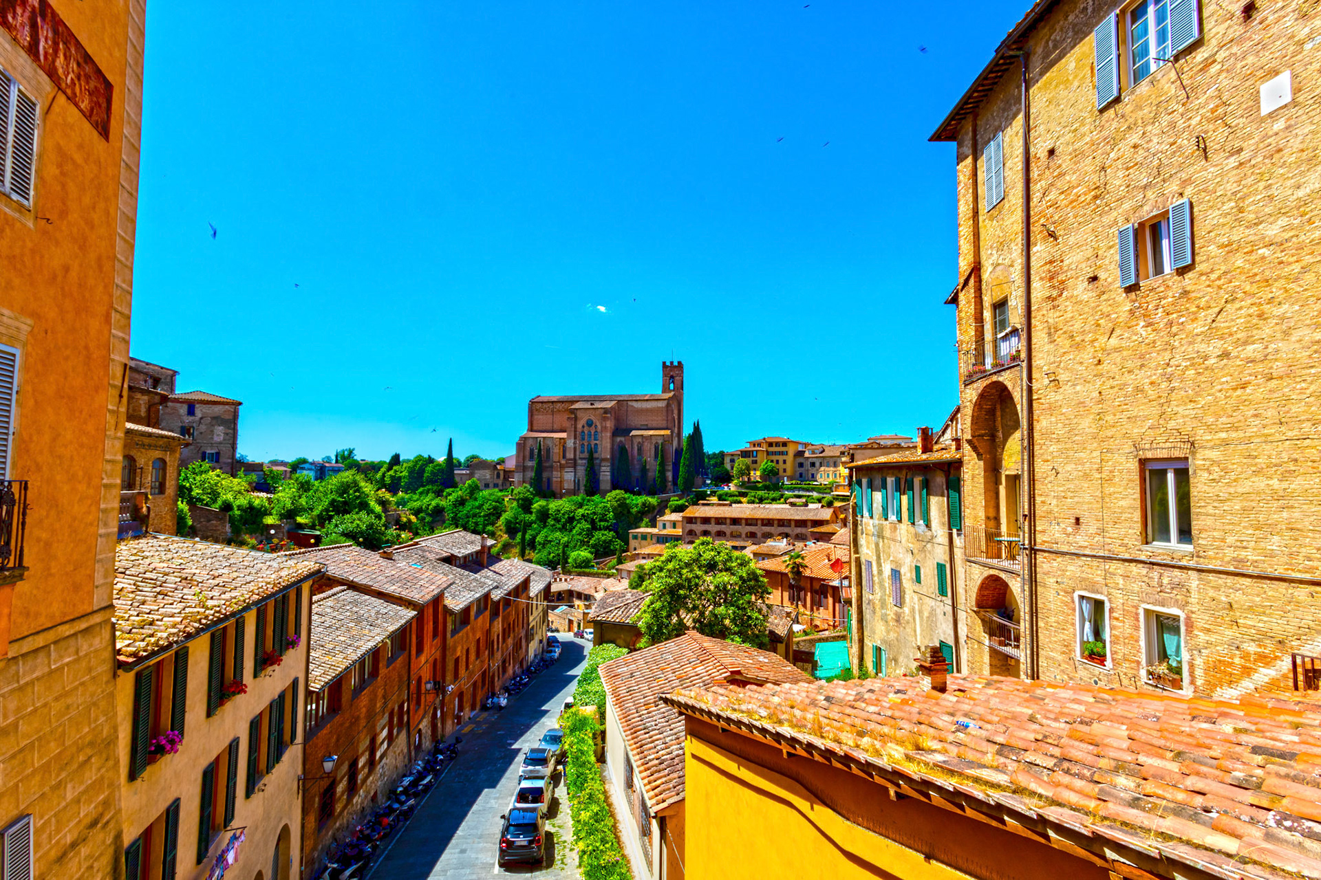 Basilica Cateriniana San Domenic - Siena 17 June 2024