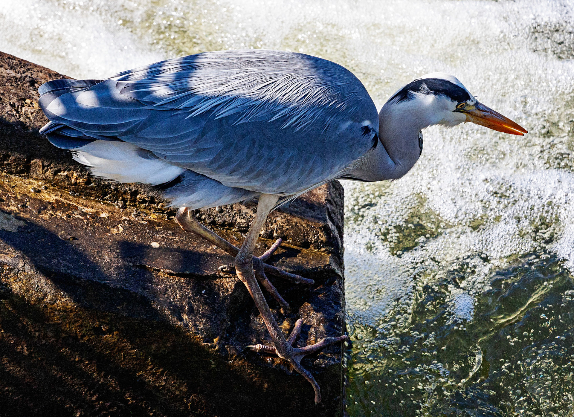 Durham 04 to  07 May 2018Please see my other Photographs at: www.jamespdeans.co.uk