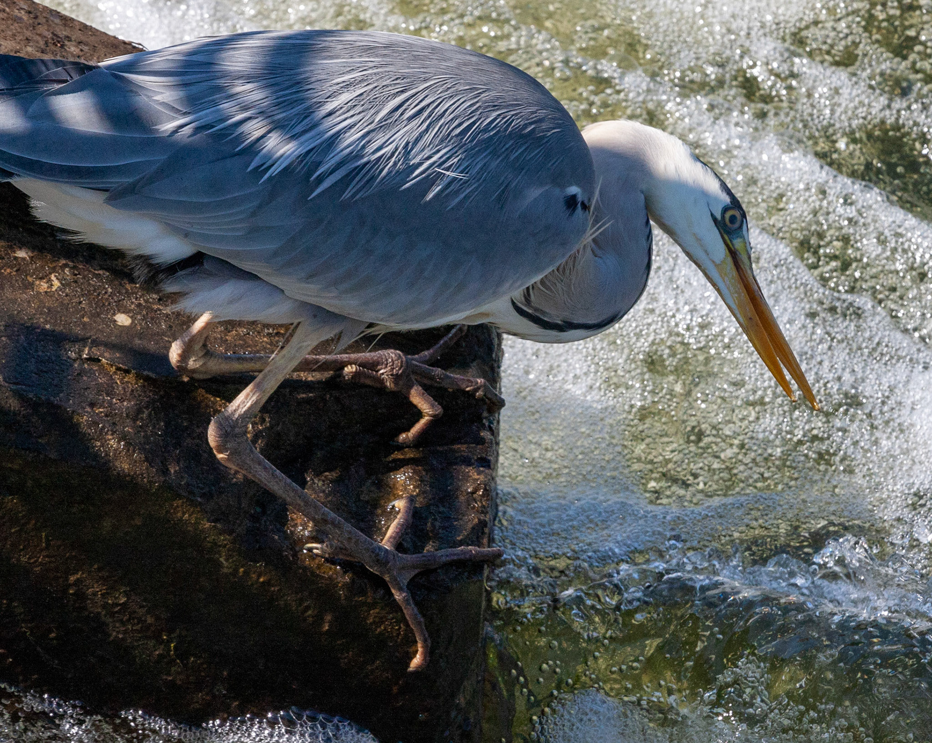 Durham 04 to  07 May 2018Please see my other Photographs at: www.jamespdeans.co.uk